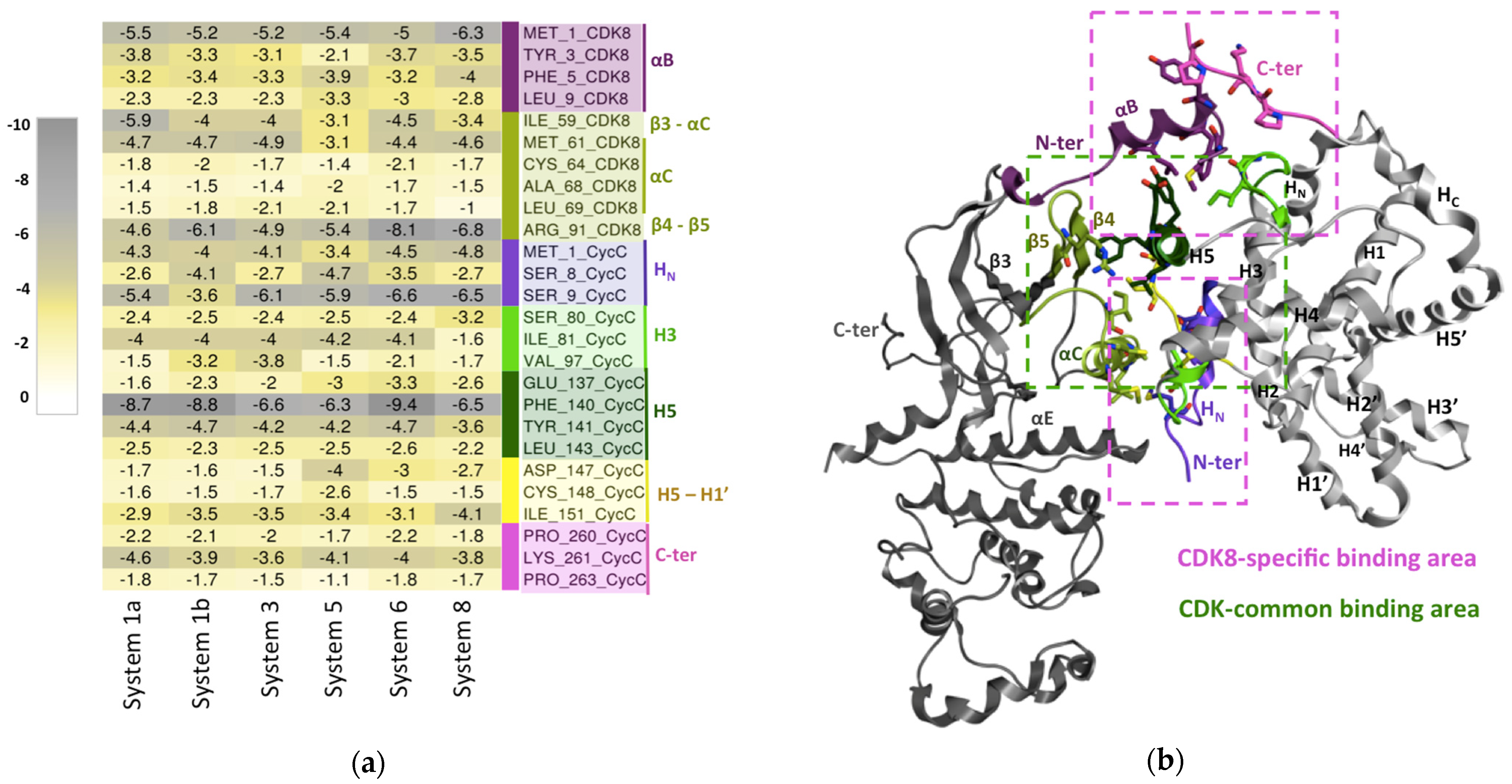 Ijms 25 05411 g004 Ijms 25 05411 g004