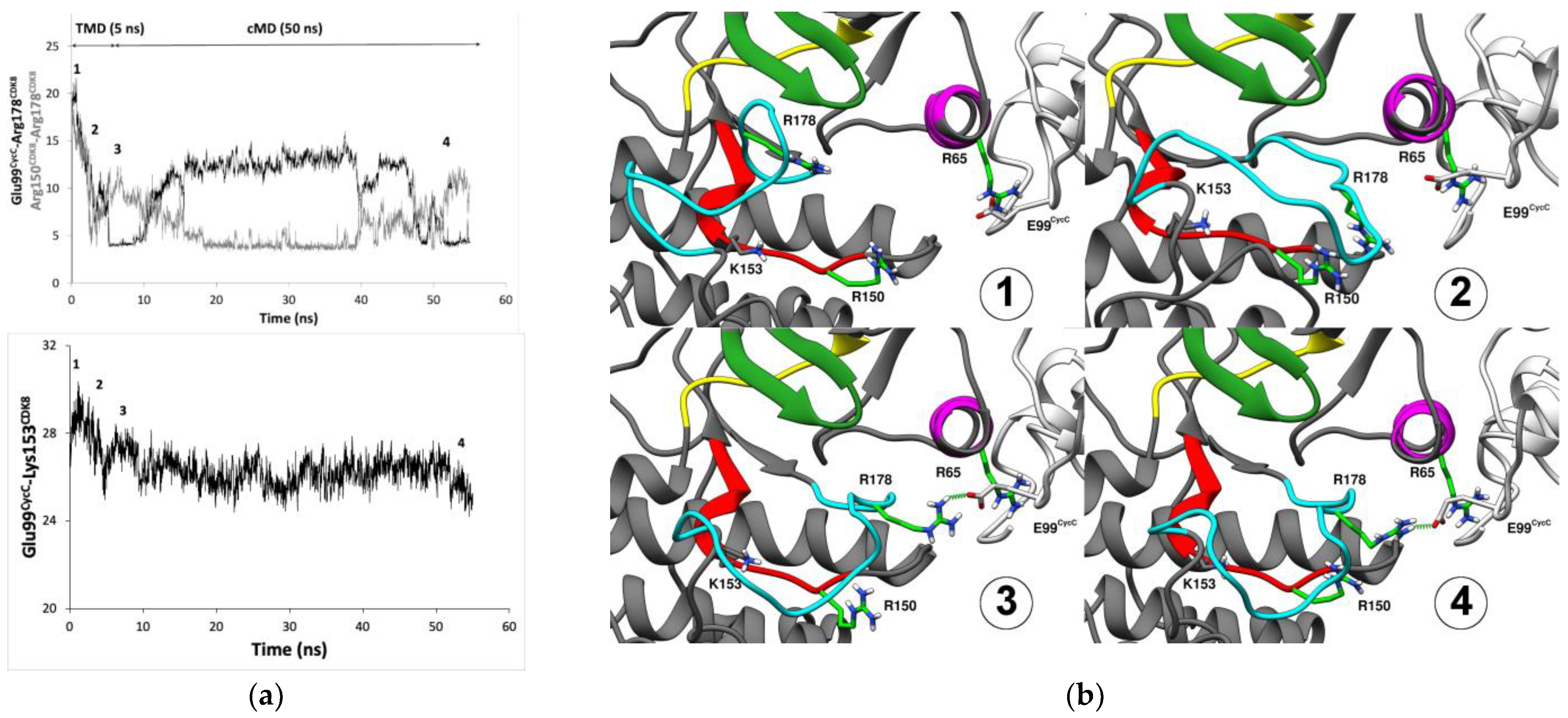 Ijms 25 05411 g007 Ijms 25 05411 g007