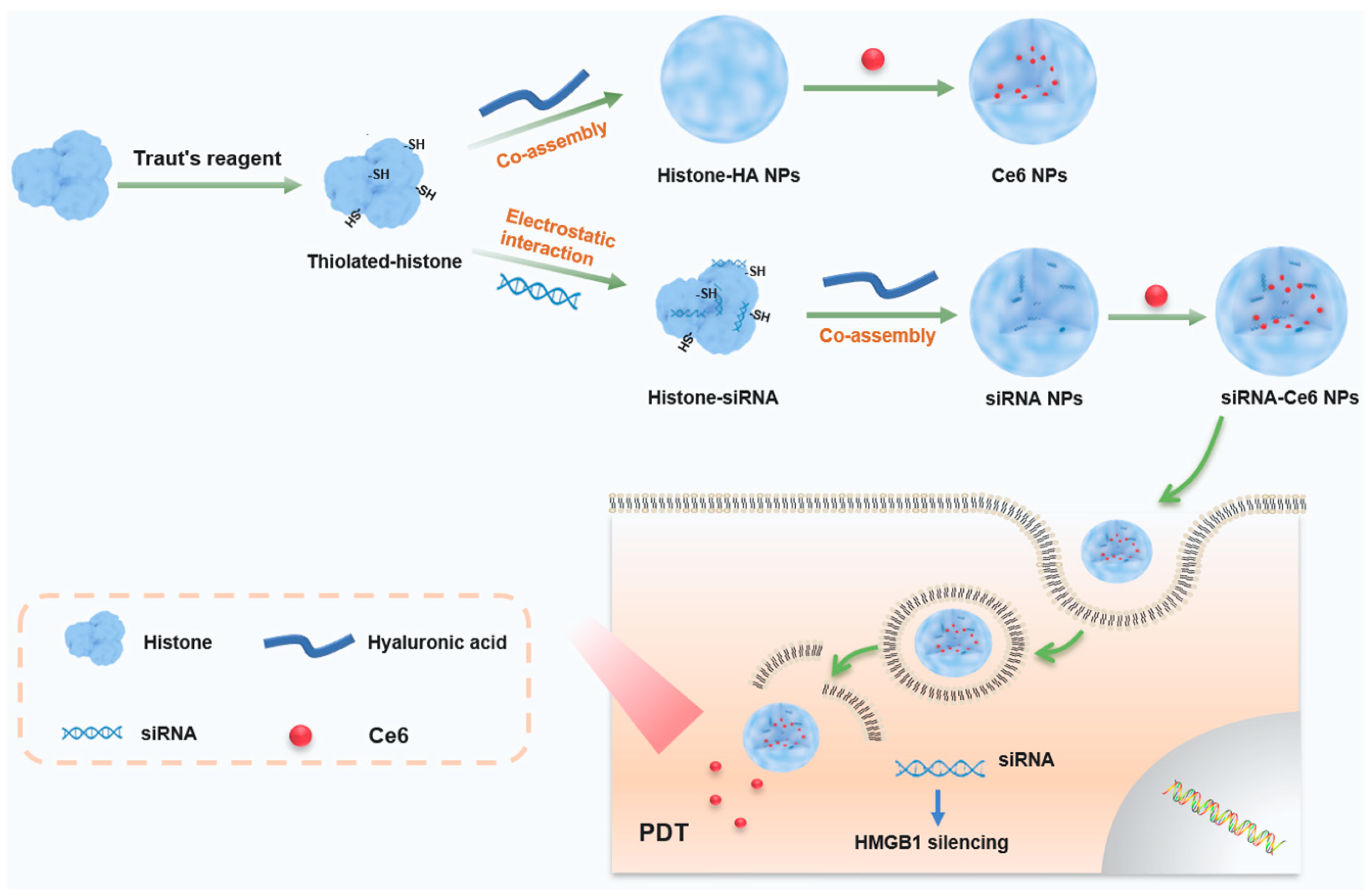 Ijms 25 05424 sch001