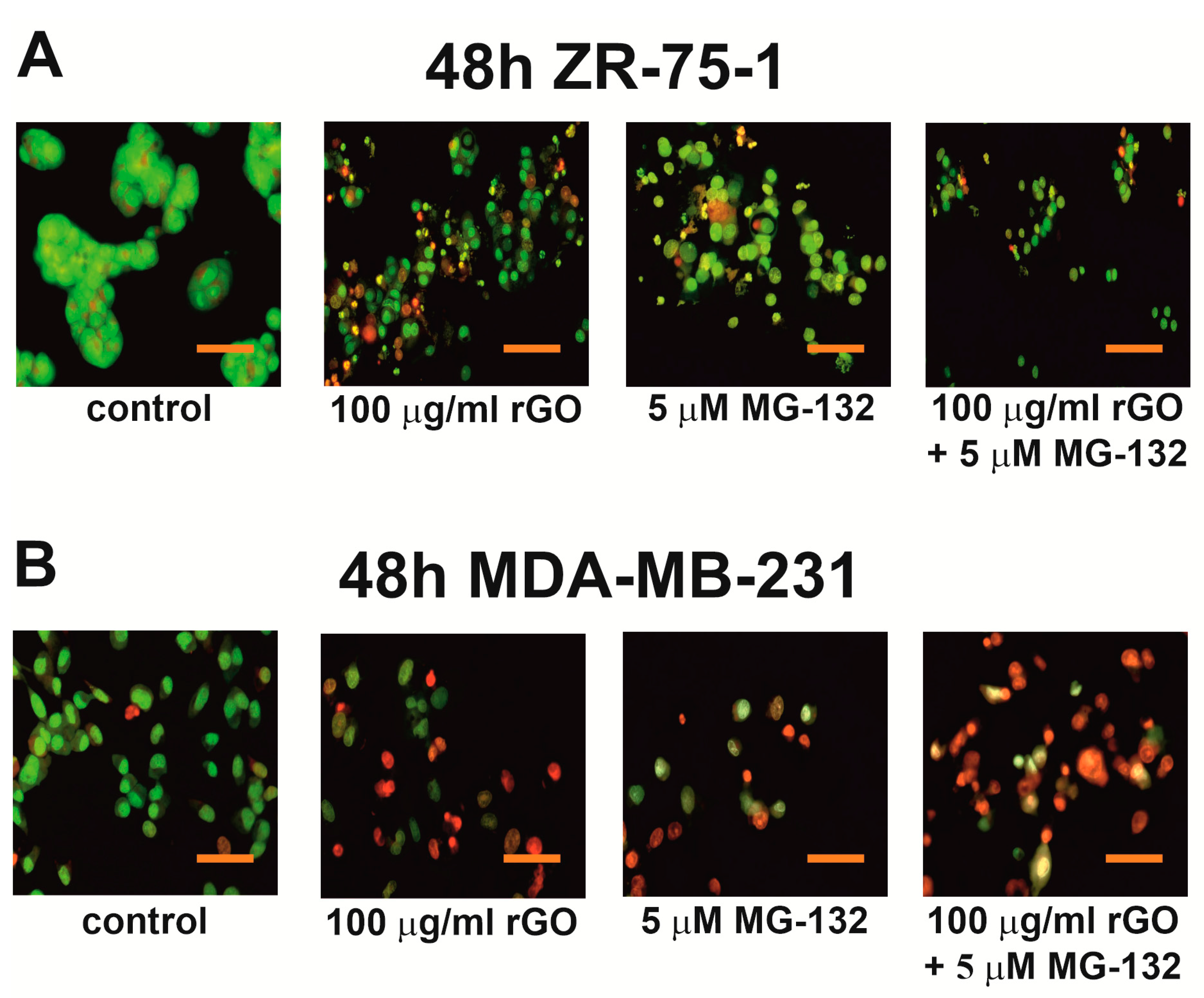 Ijms 25 05436 g005