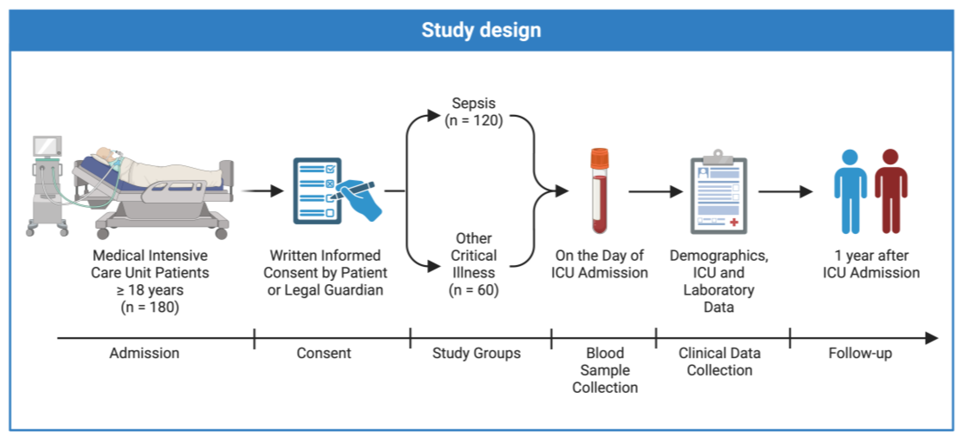 Ijms 25 05438 g004 Ijms 25 05438 g004