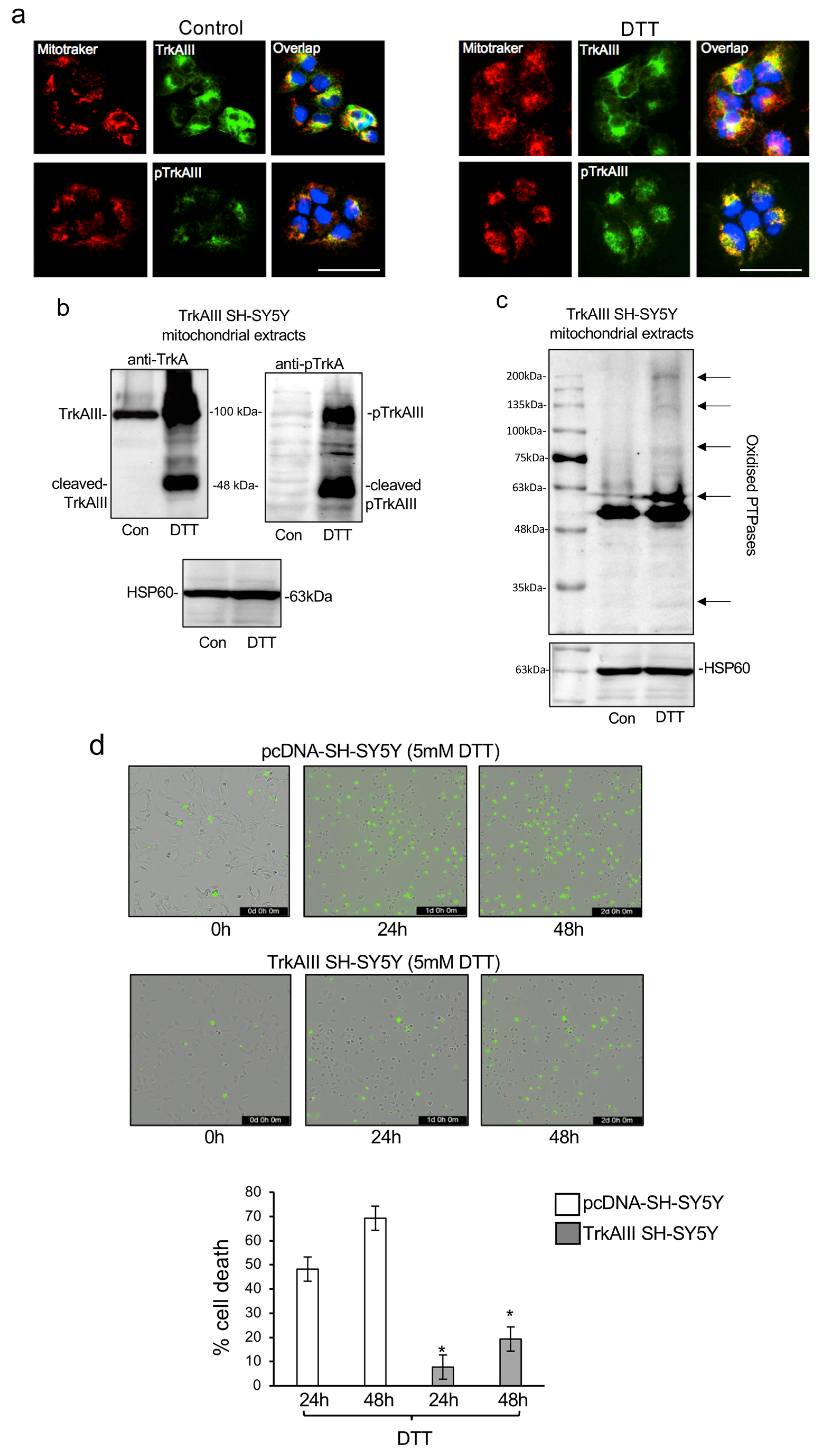 Ijms 25 05475 g001