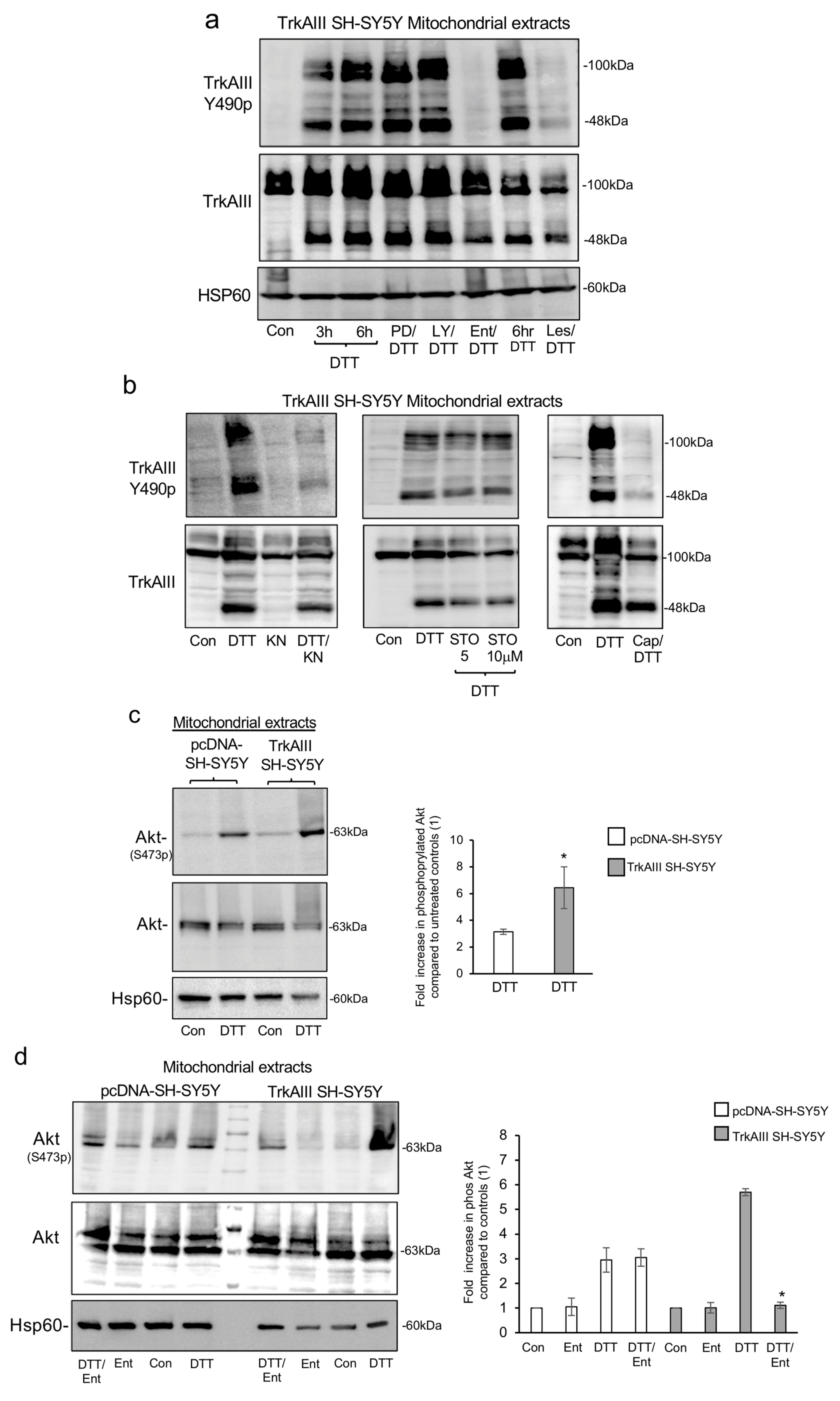 Ijms 25 05475 g005a