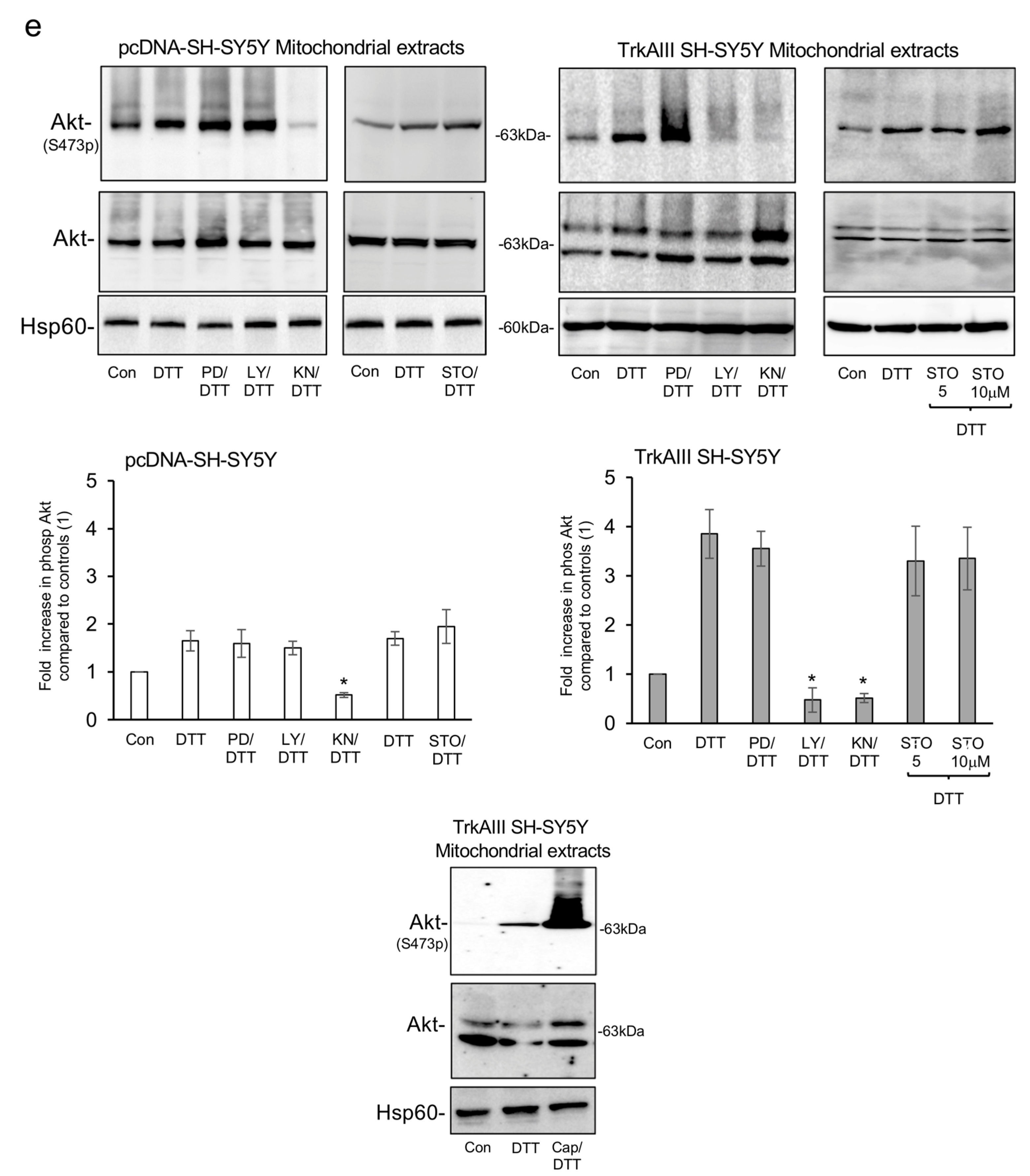 Ijms 25 05475 g005b