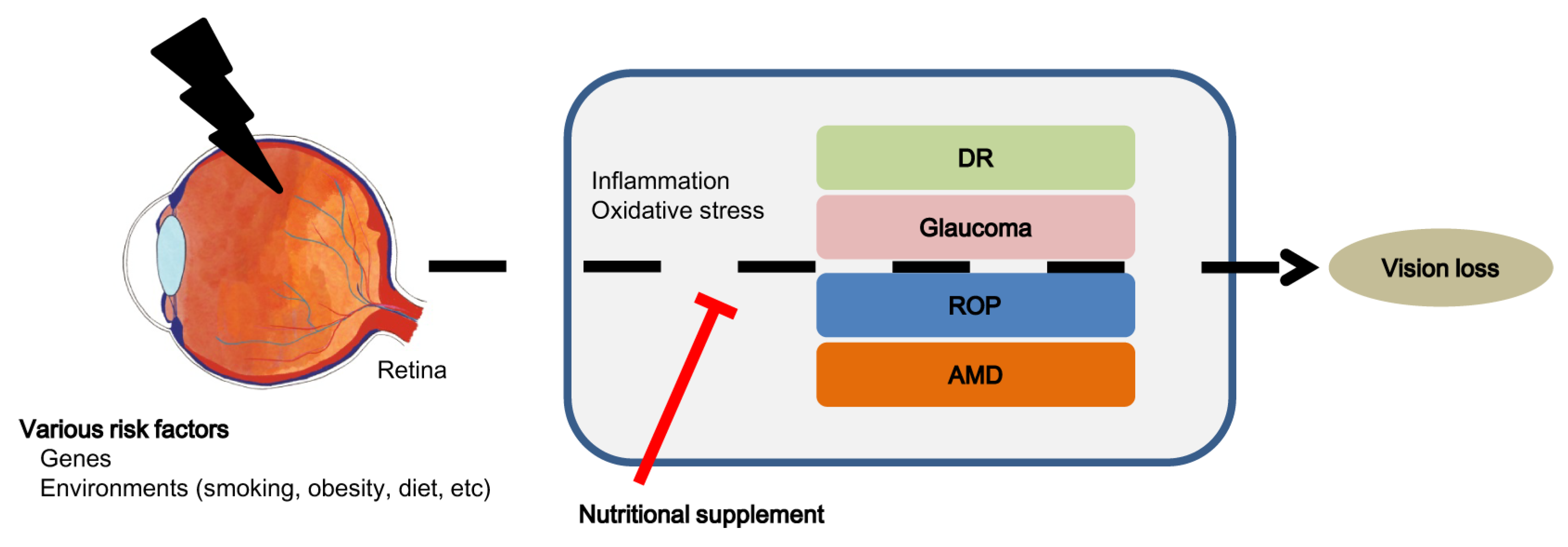 Ijms 25 05503 g001 Ijms 25 05503 g001