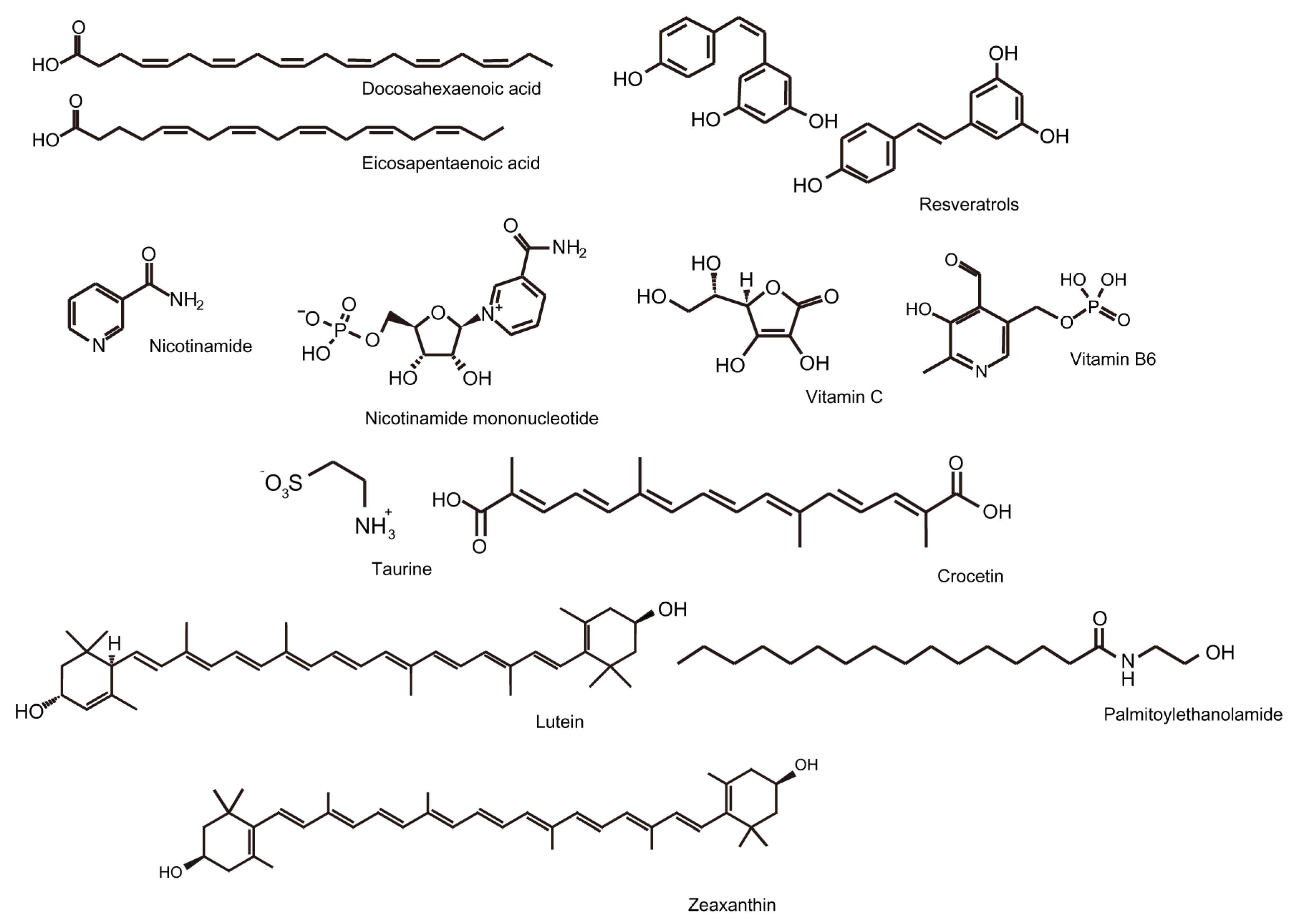 Ijms 25 05503 g002 Ijms 25 05503 g002
