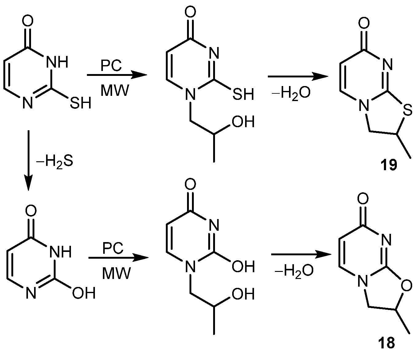 Ijms 25 05523 sch016