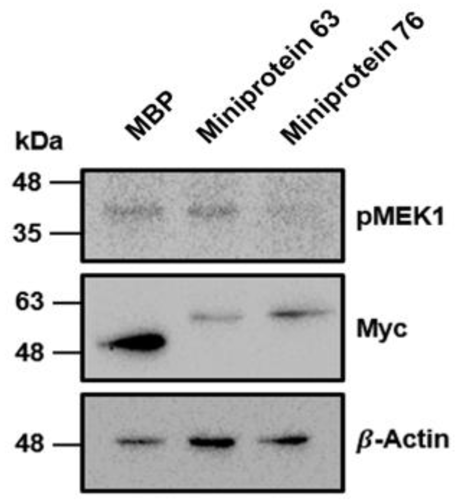 Ijms 25 05535 g007