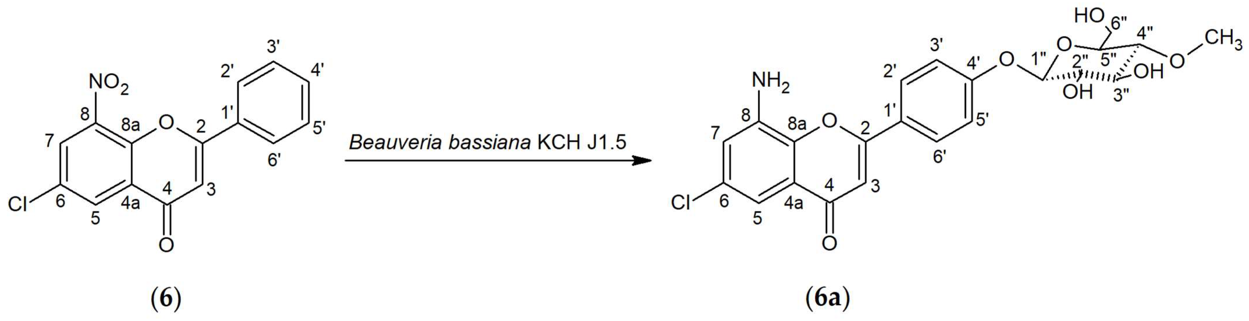 Ijms 25 05540 g002