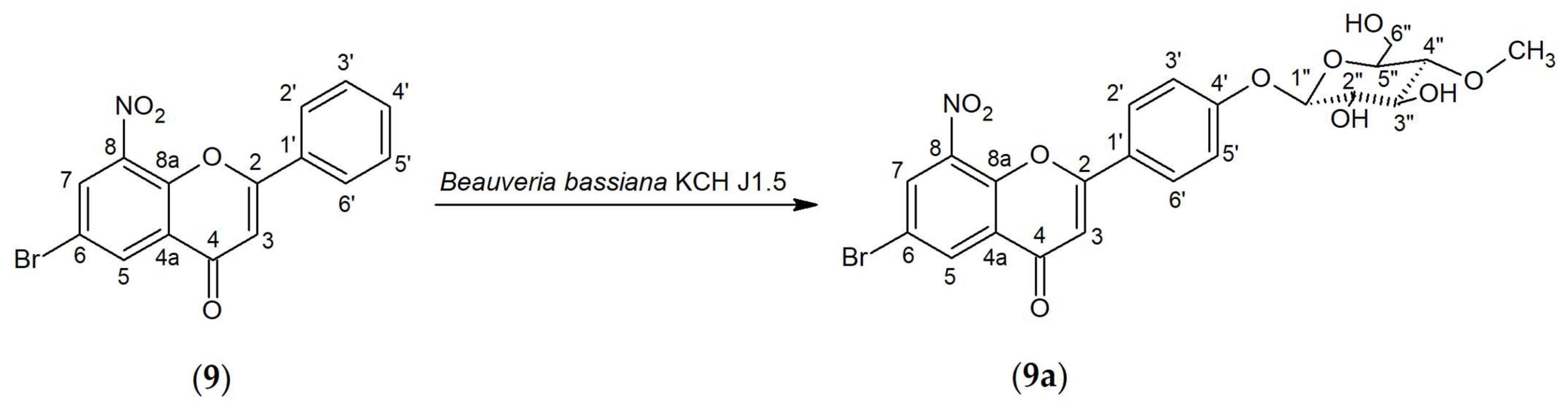 Ijms 25 05540 g003