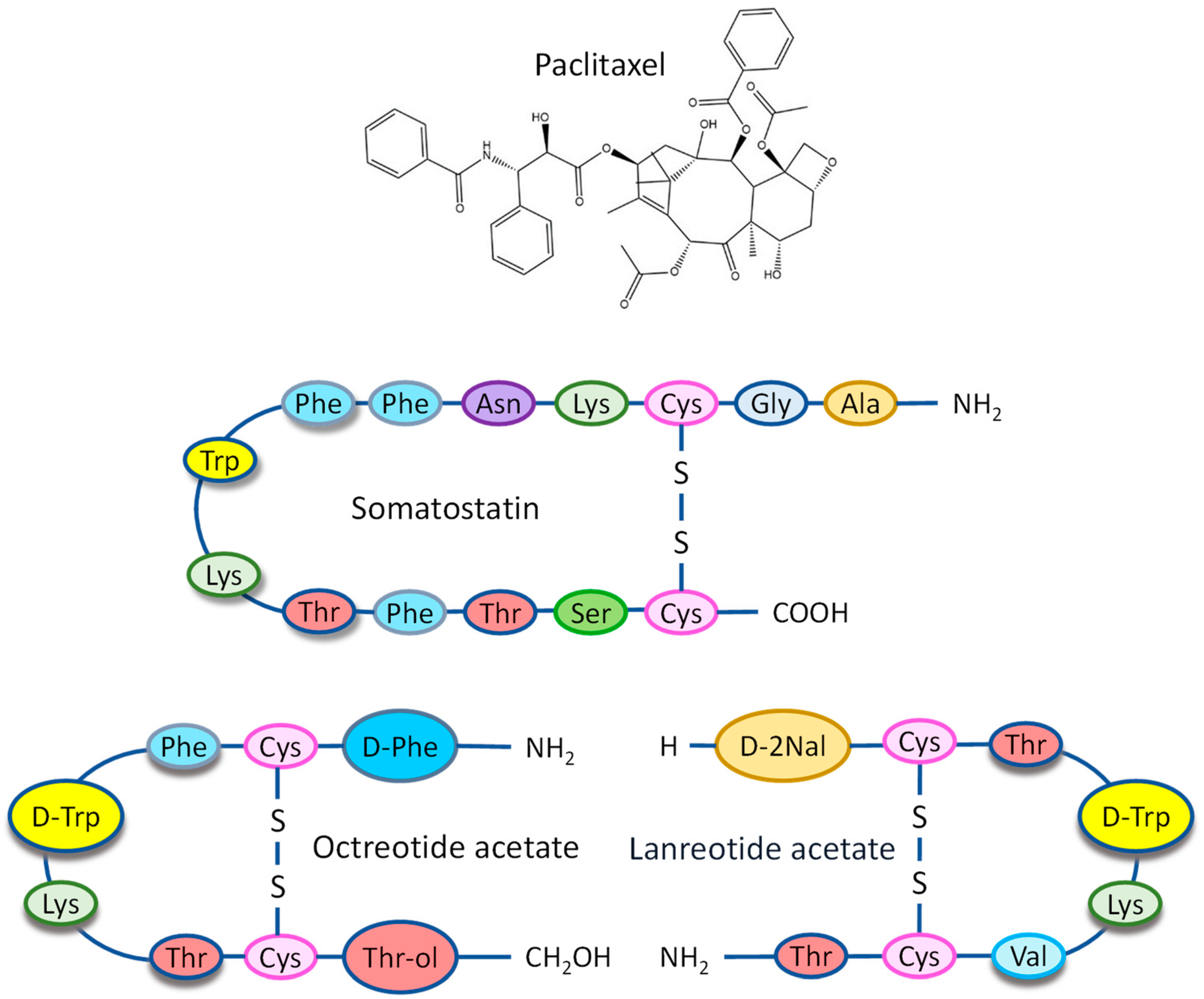 Ijms 25 05545 g001 Ijms 25 05545 g001