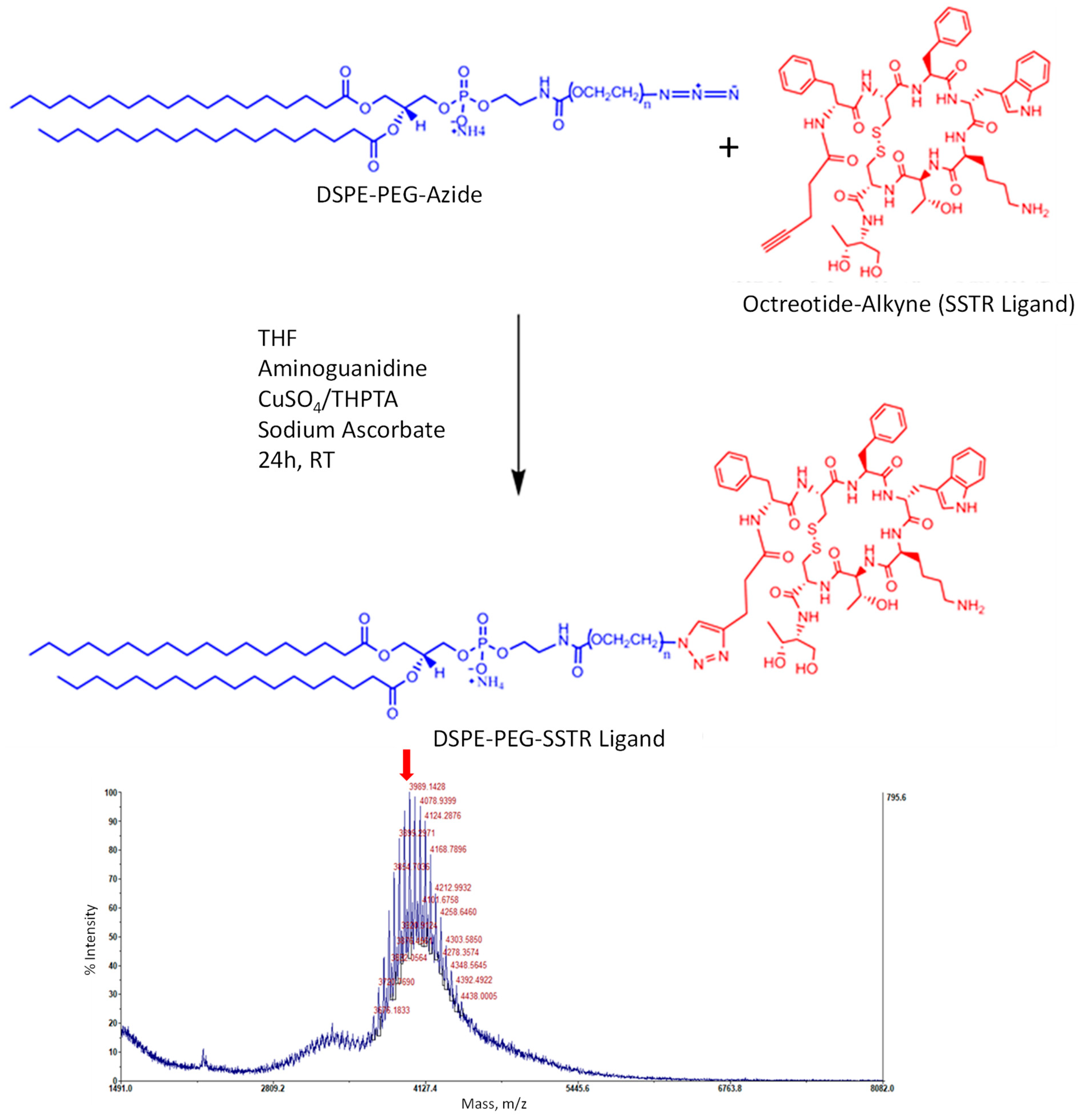 Ijms 25 05545 g002 Ijms 25 05545 g002