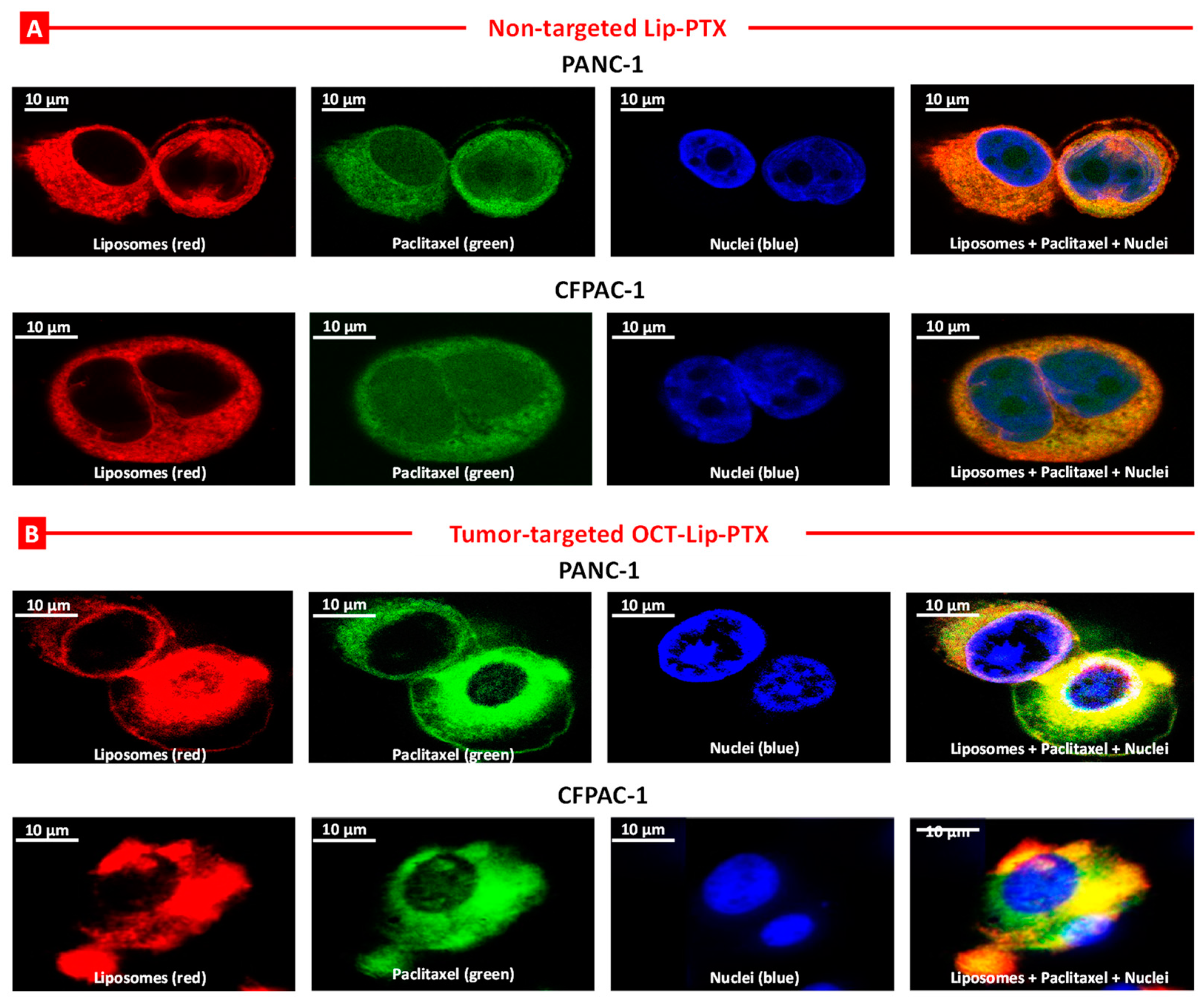 Ijms 25 05545 g006 Ijms 25 05545 g006