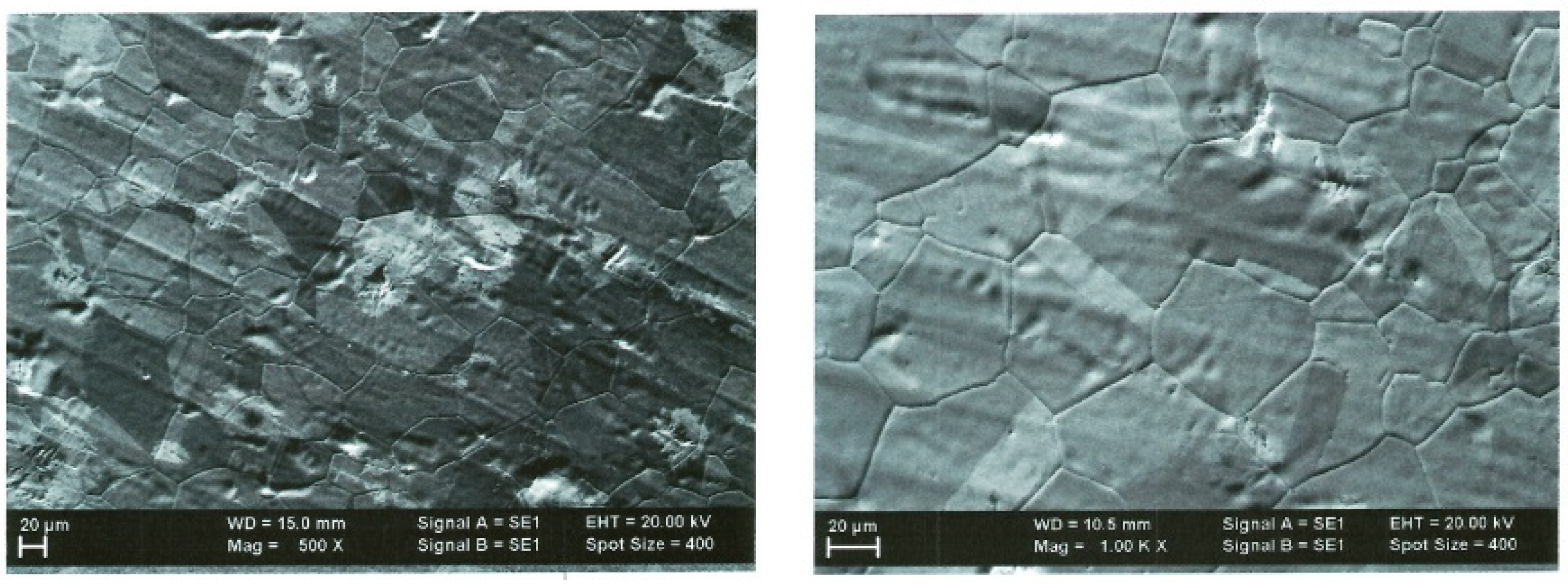 Ijms 25 05552 g001