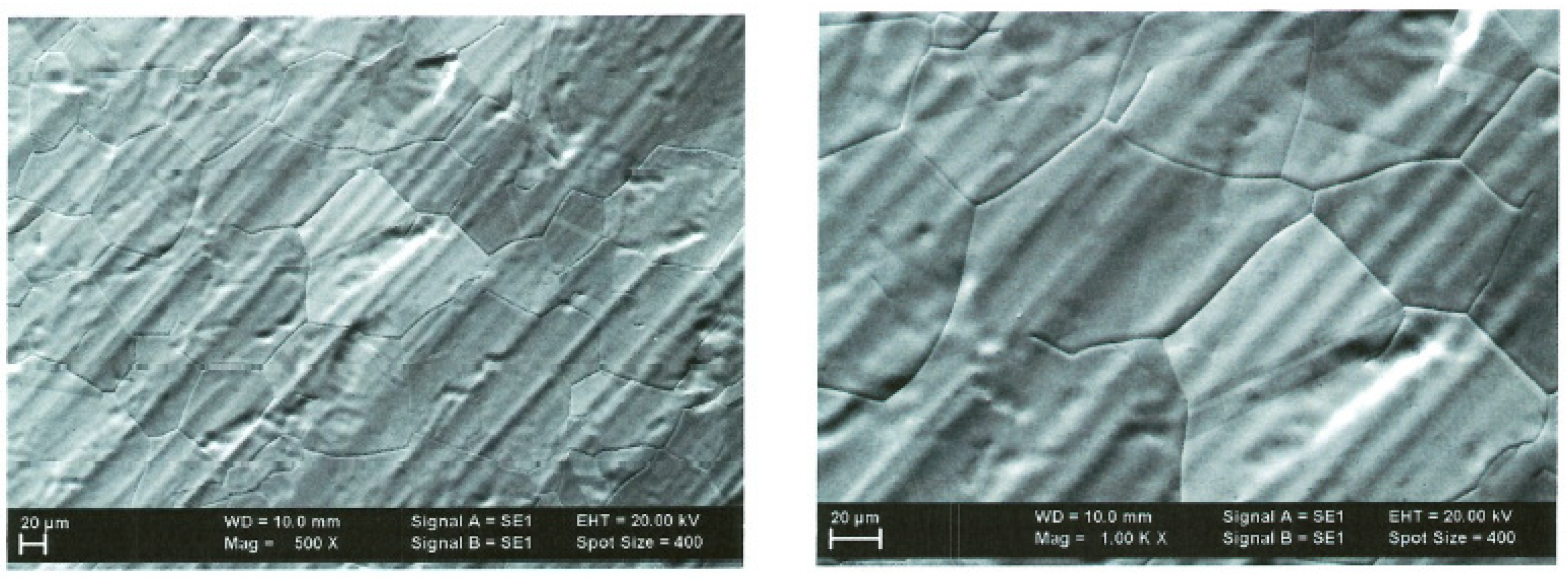 Ijms 25 05552 g002