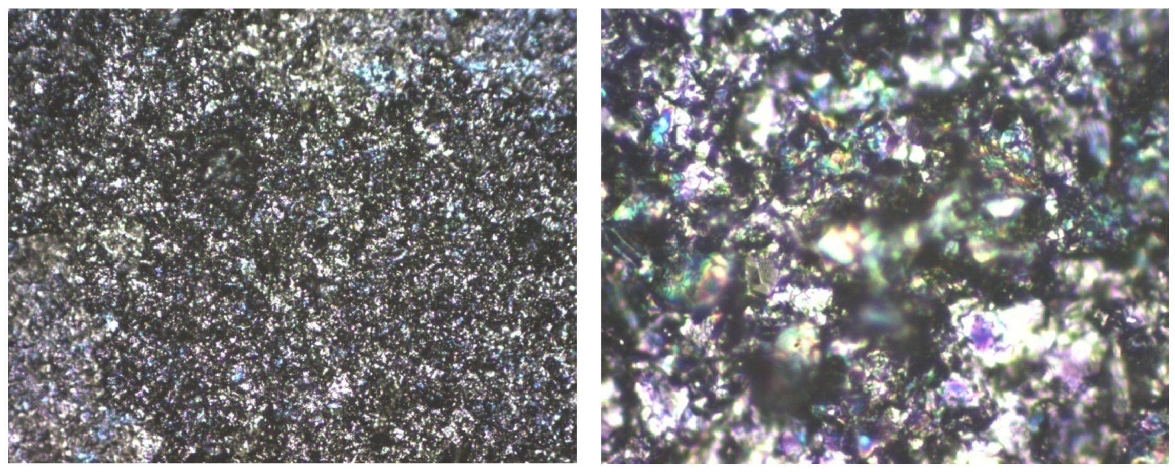 Ijms 25 05552 g008