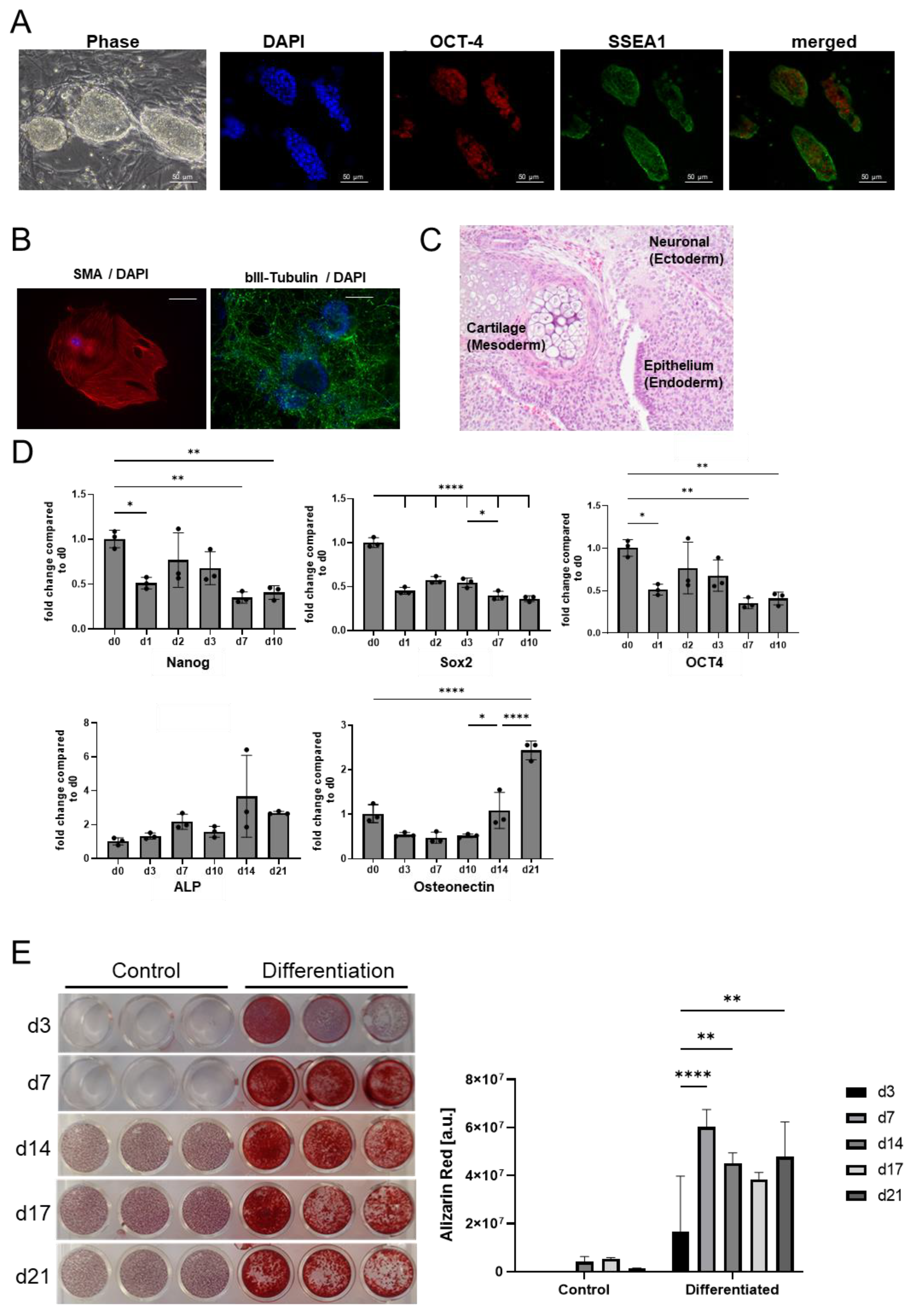 Ijms 25 05555 g001 Ijms 25 05555 g001