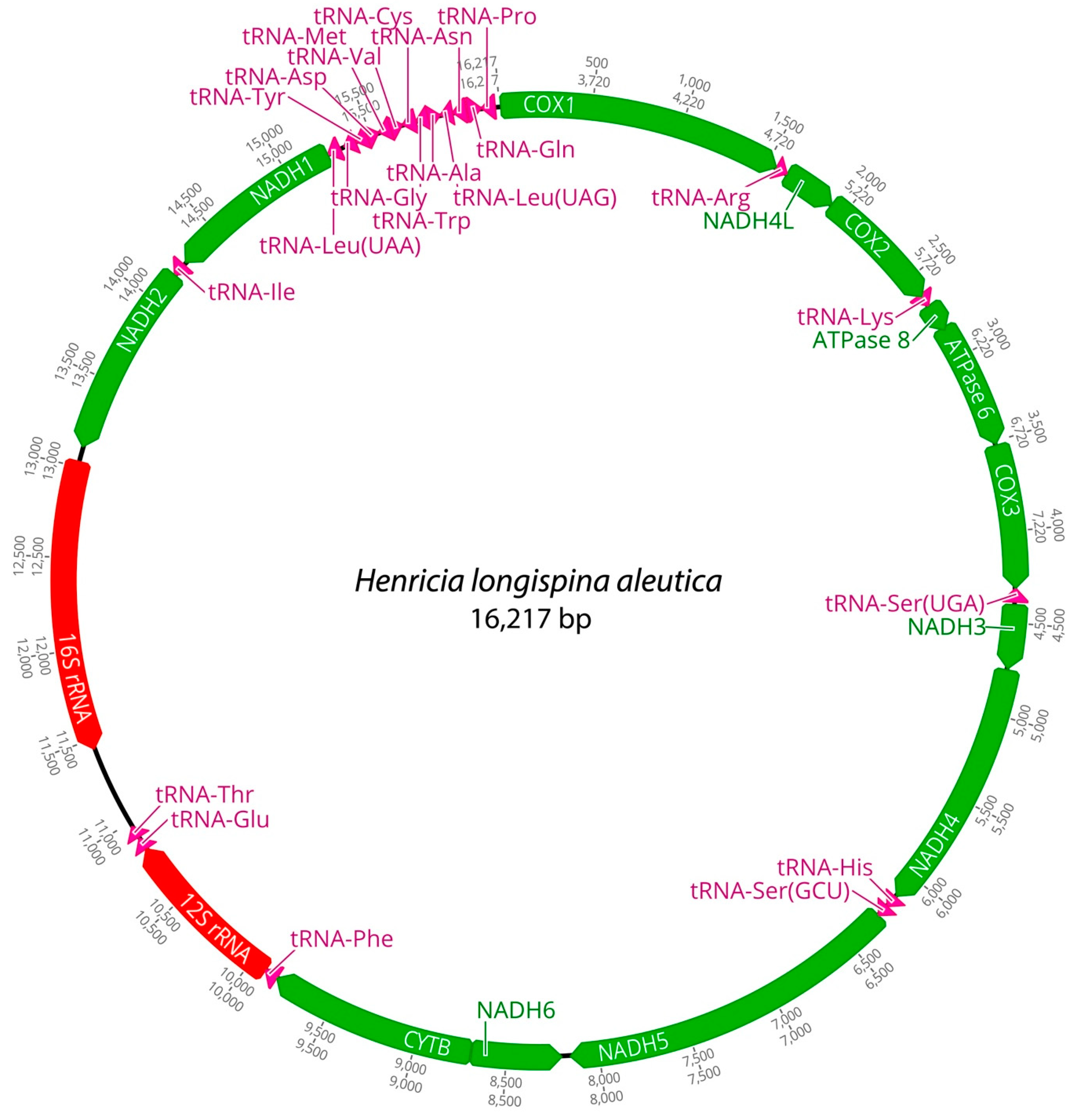Ijms 25 05575 g001 Ijms 25 05575 g001