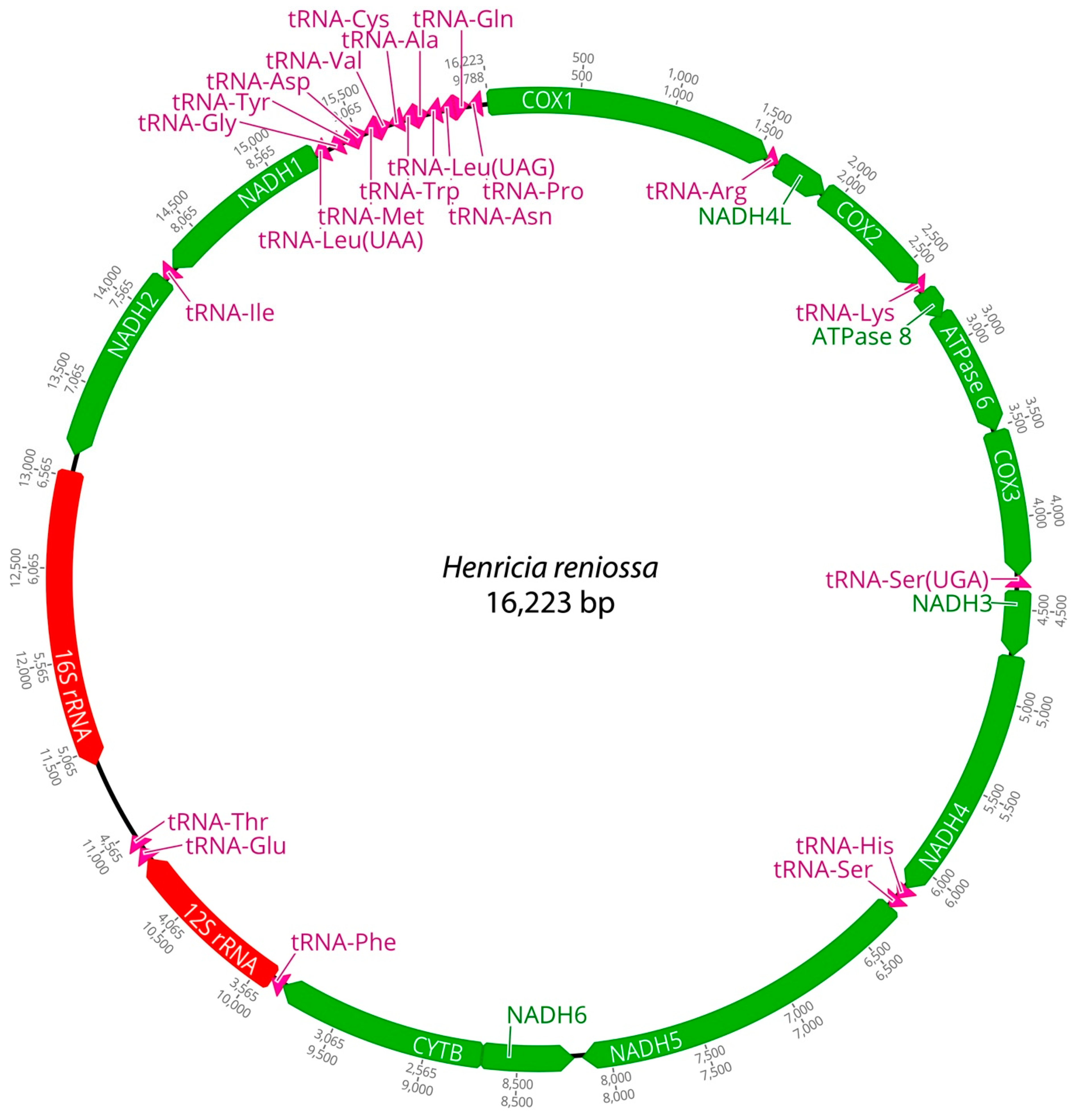 Ijms 25 05575 g002 Ijms 25 05575 g002