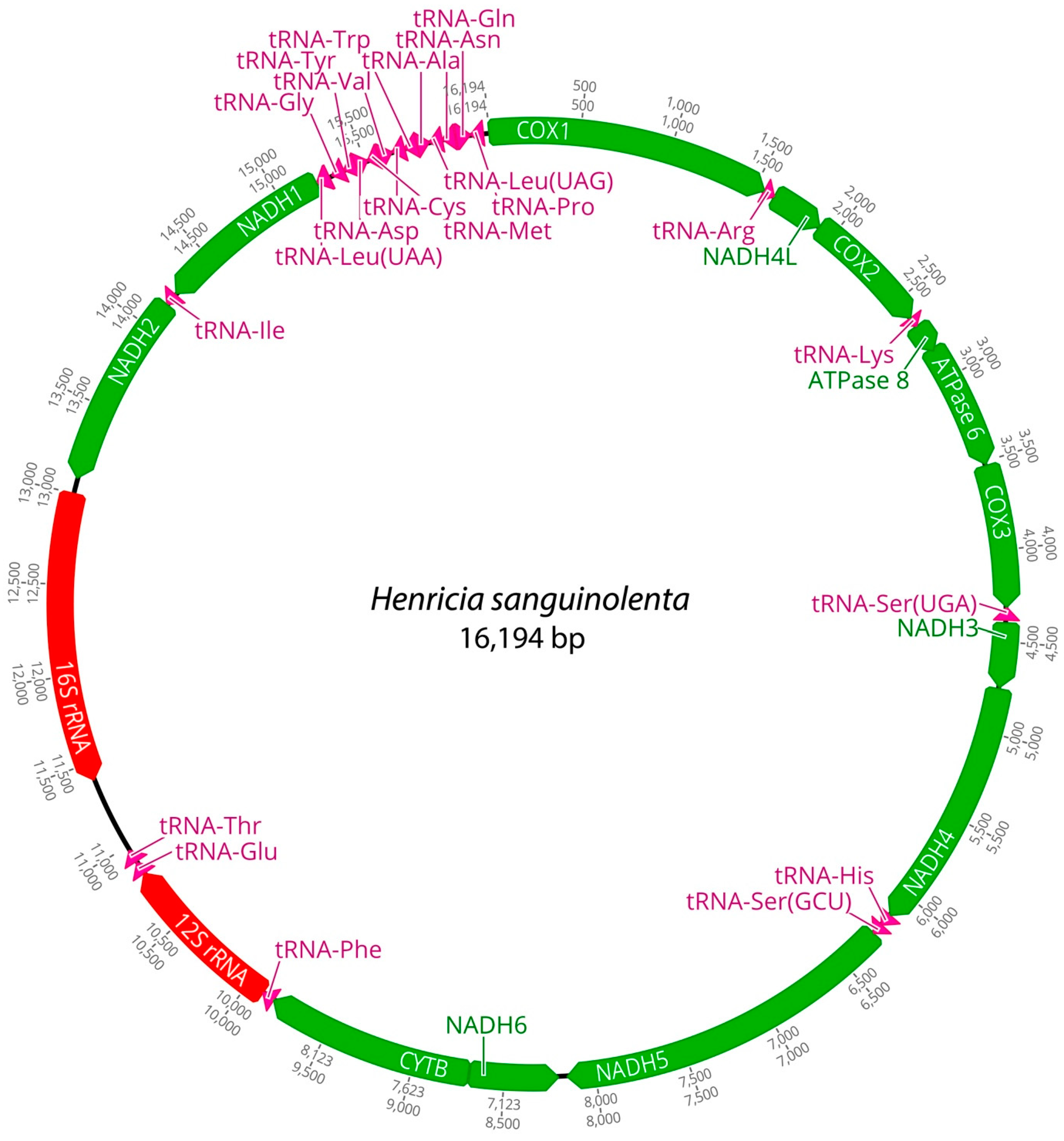 Ijms 25 05575 g003 Ijms 25 05575 g003