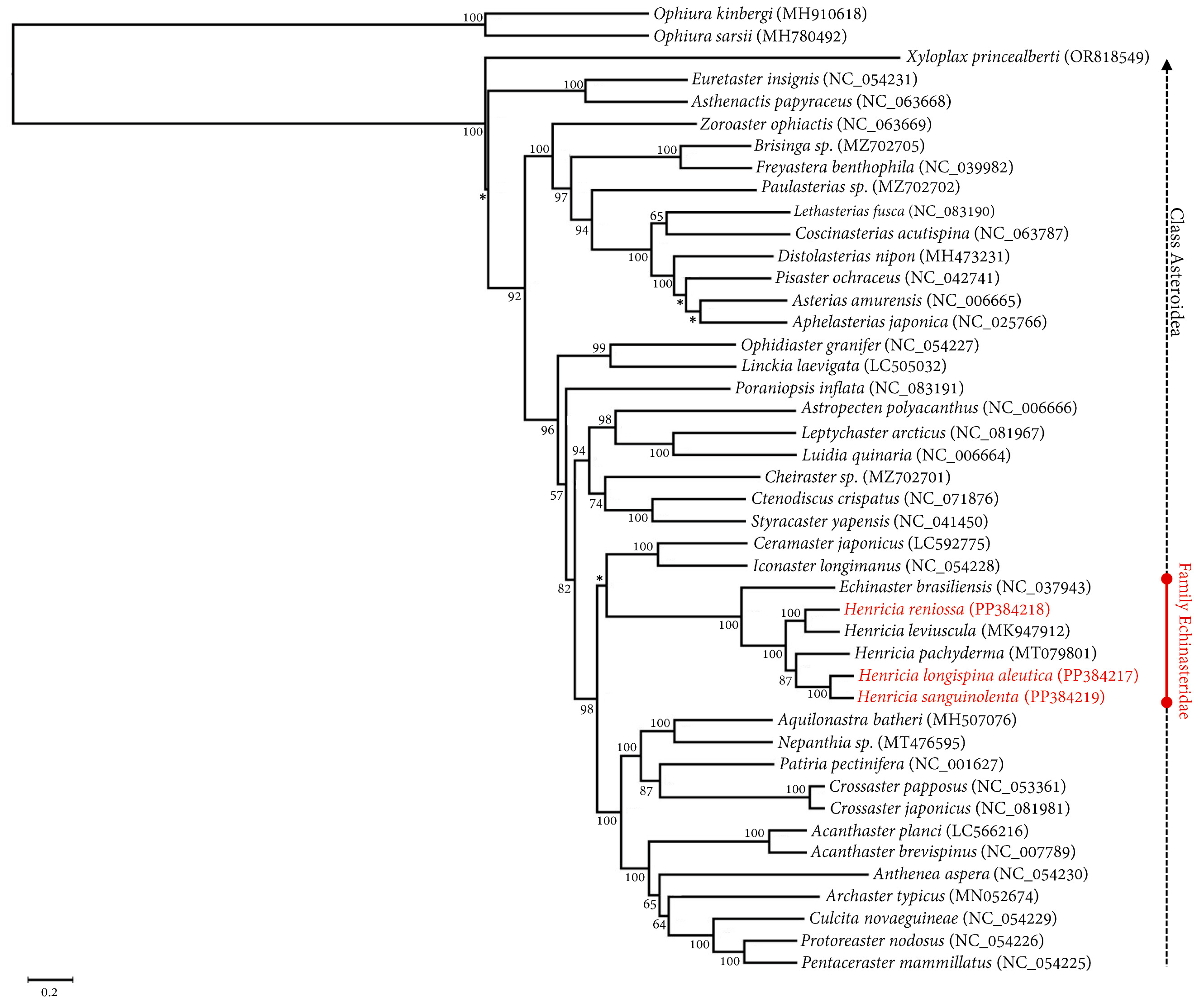 Ijms 25 05575 g004 Ijms 25 05575 g004