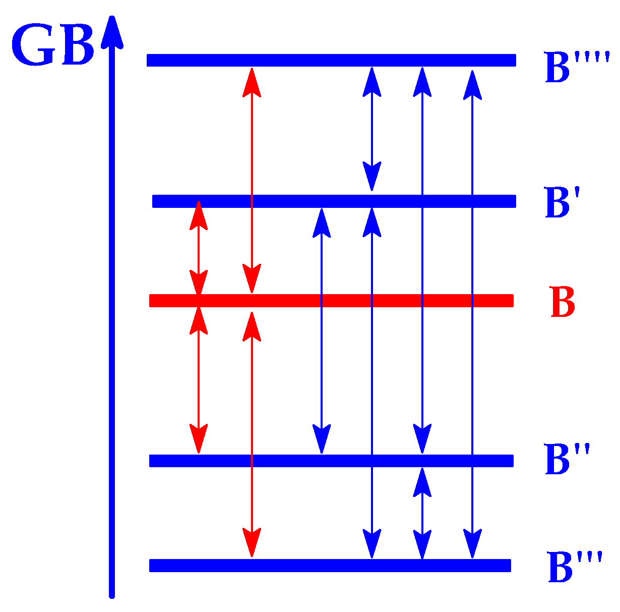 Ijms 25 05591 g002