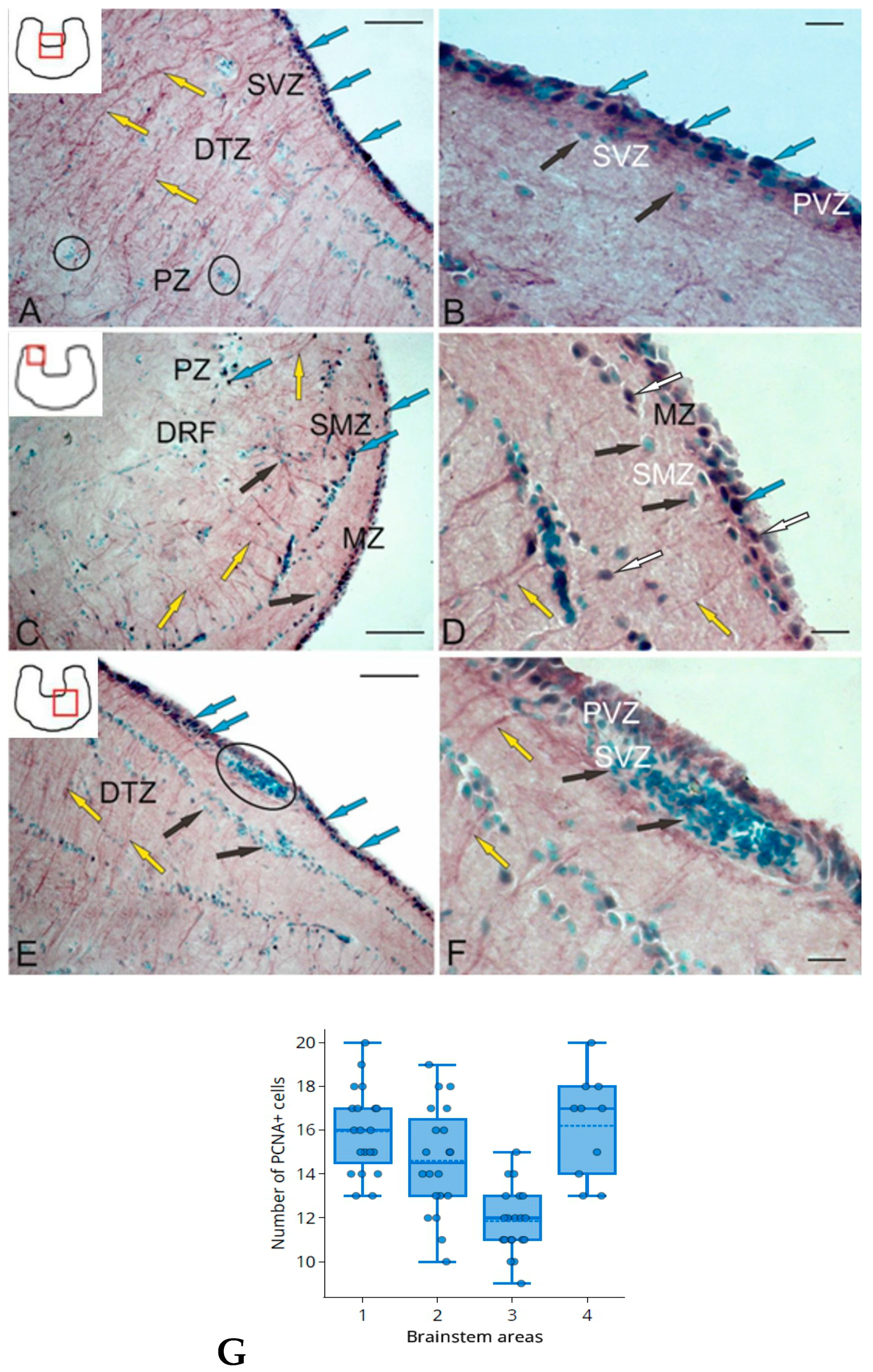 Ijms 25 05595 g002 Ijms 25 05595 g002