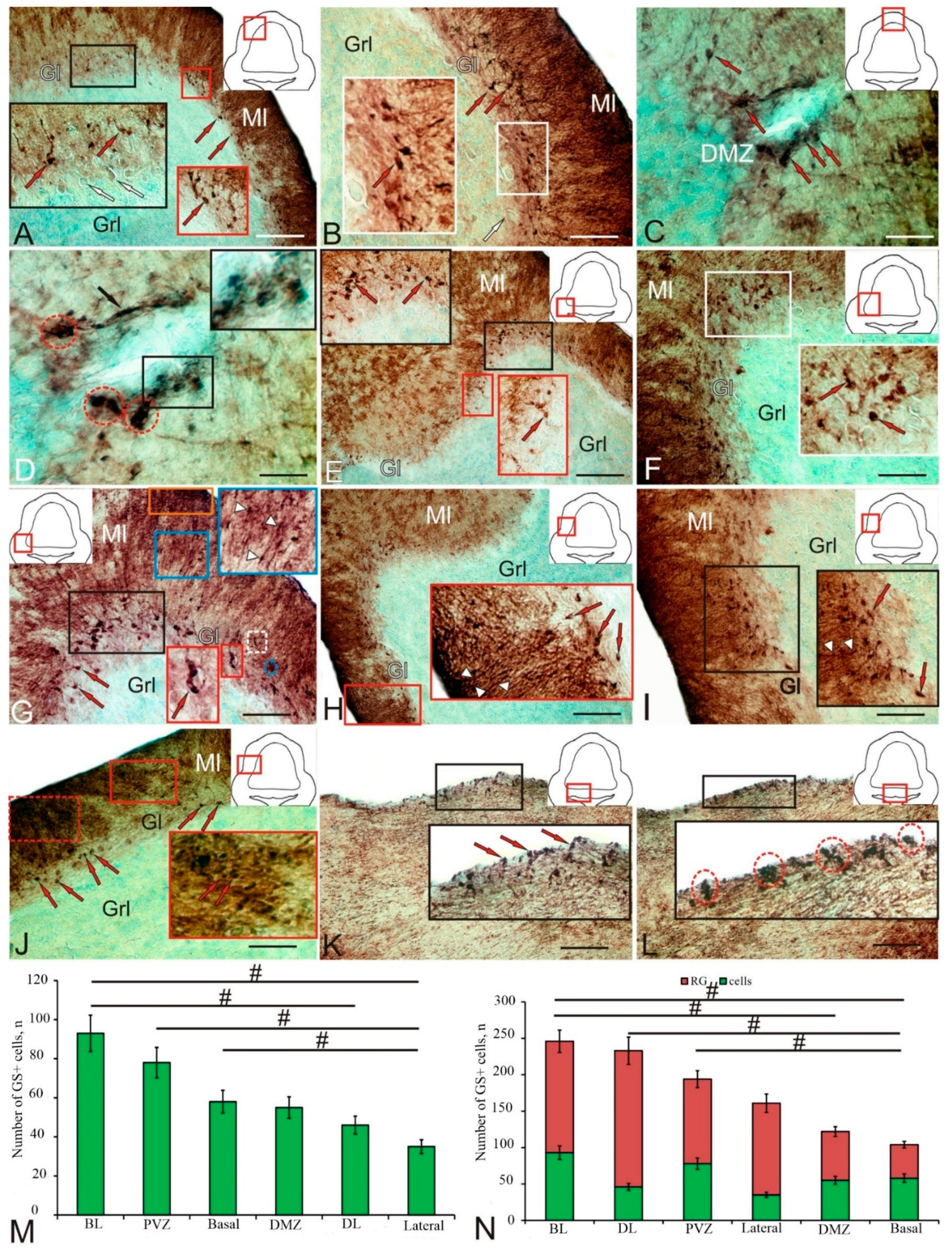 Ijms 25 05595 g003 Ijms 25 05595 g003