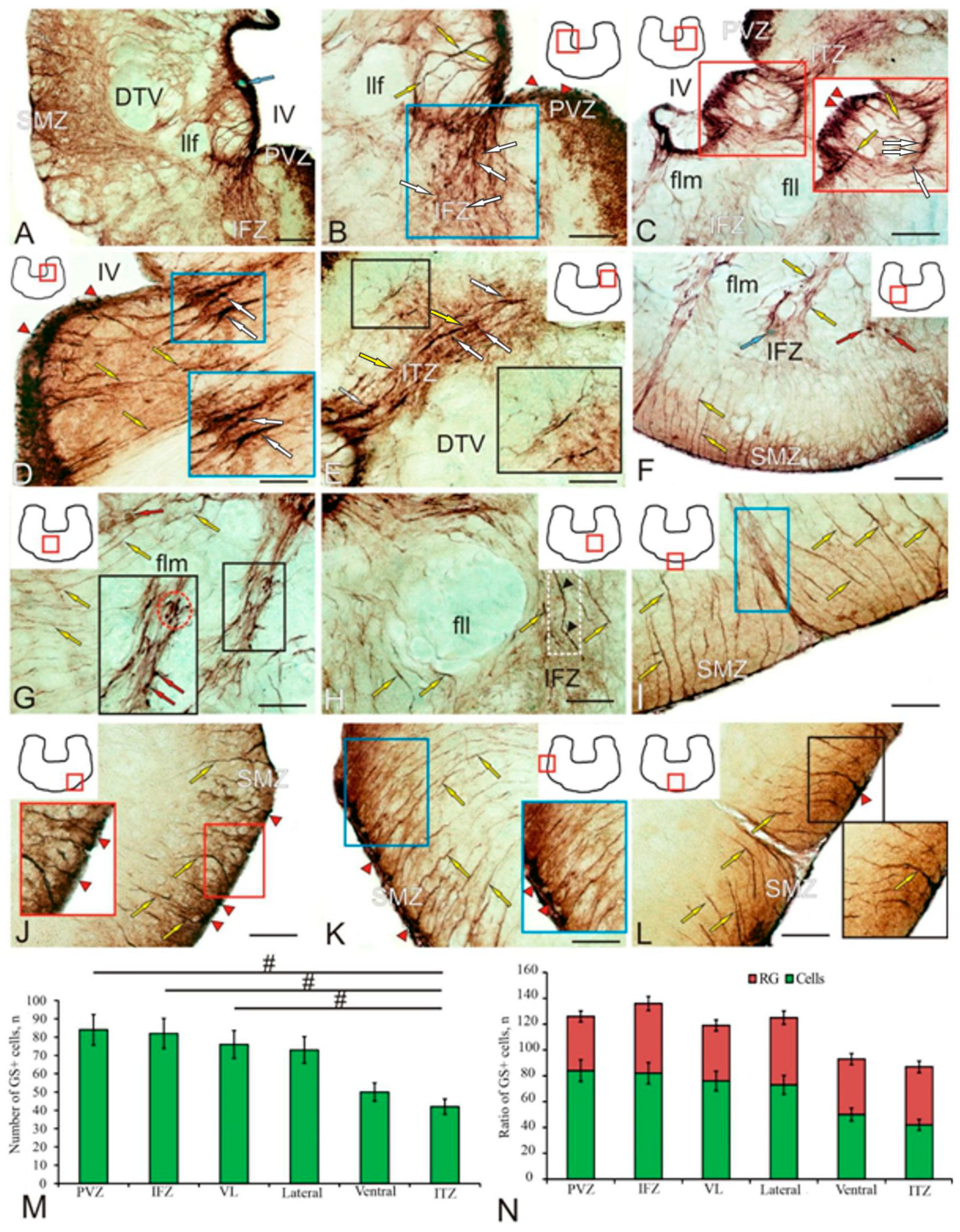 Ijms 25 05595 g004 Ijms 25 05595 g004