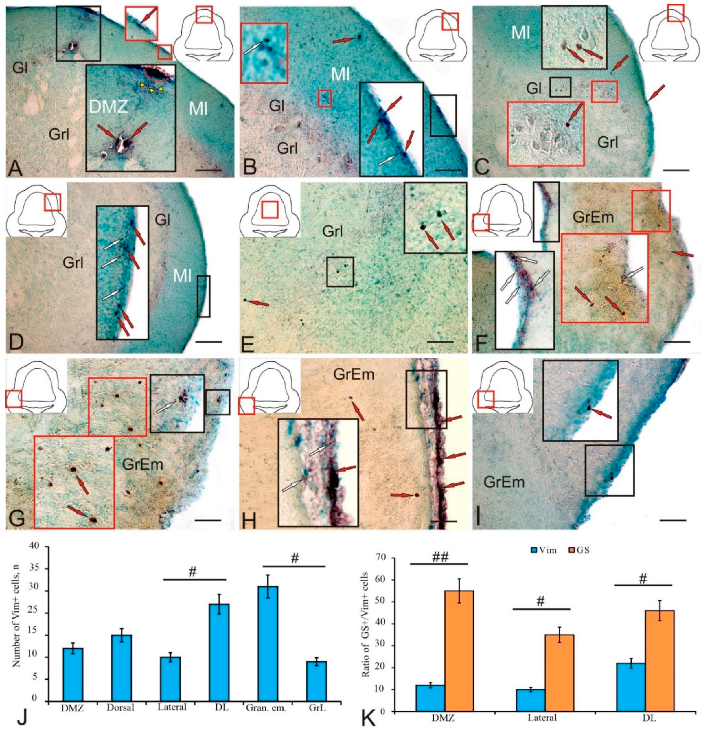 Ijms 25 05595 g007 Ijms 25 05595 g007