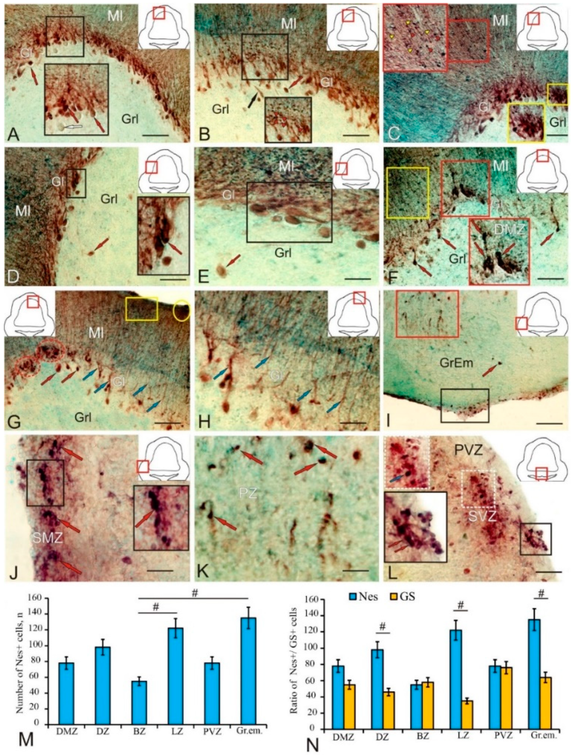 Ijms 25 05595 g009 Ijms 25 05595 g009