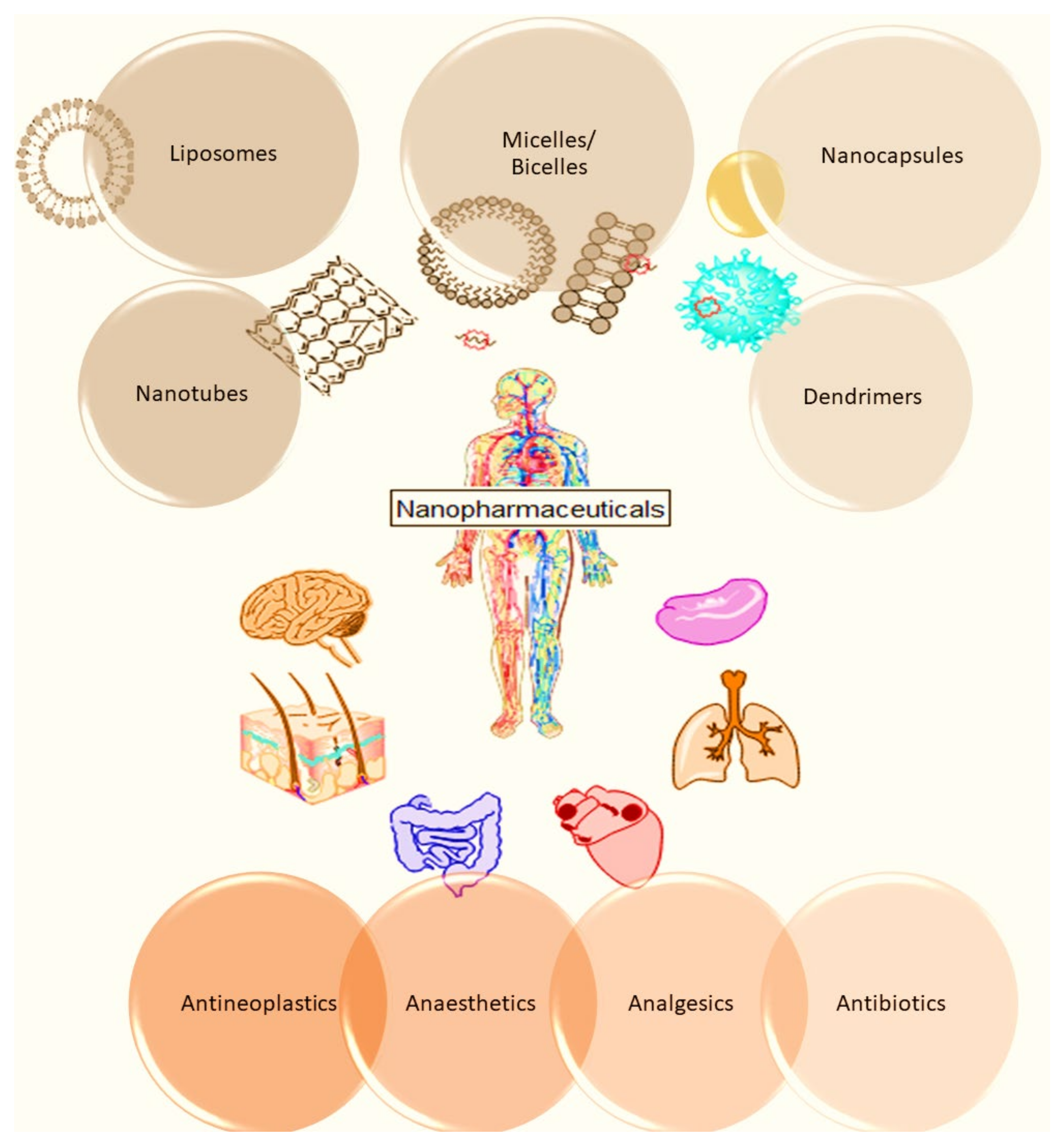 Ijms 25 05842 g001 Ijms 25 05842 g001