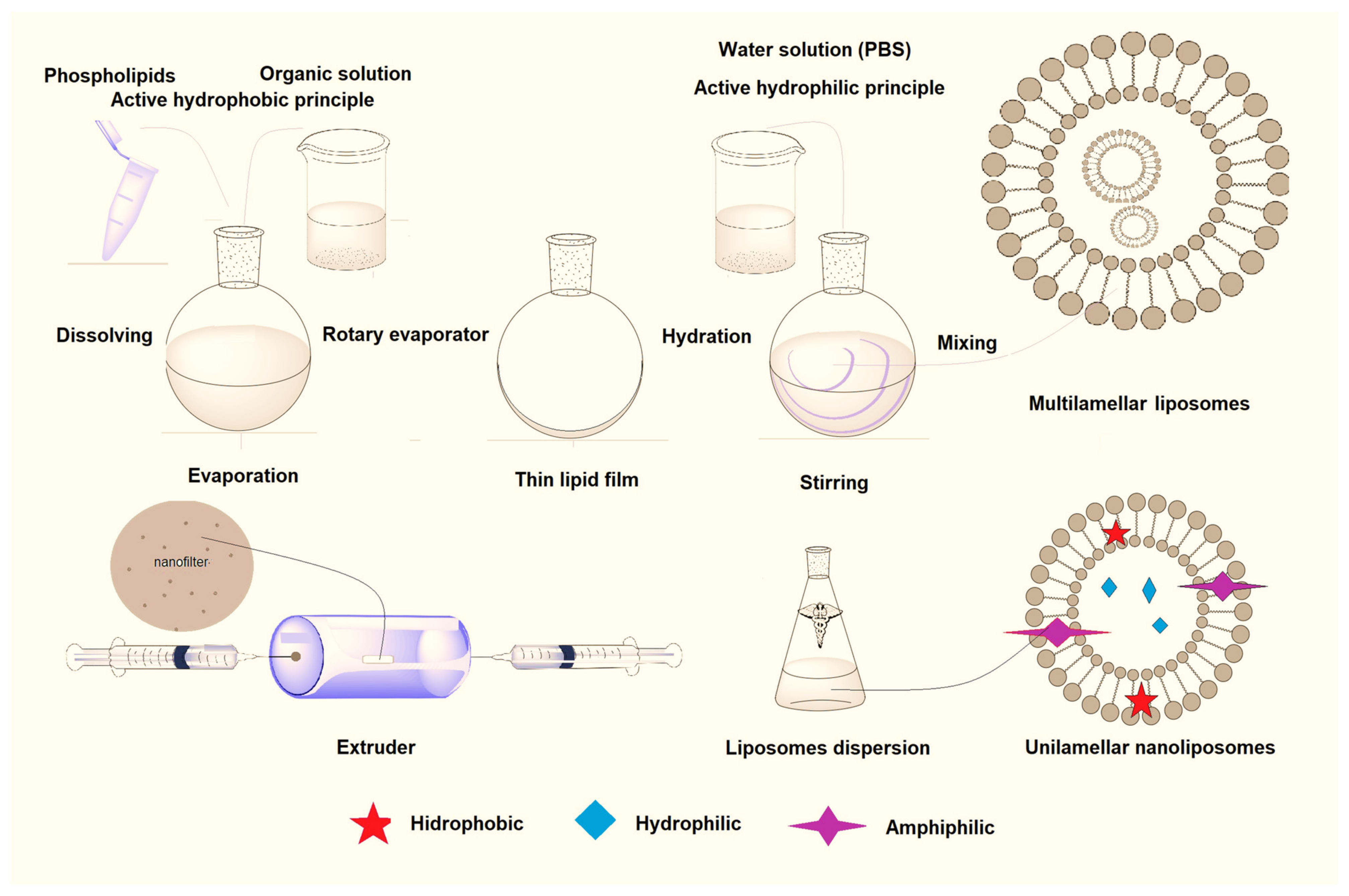 Ijms 25 05842 g002 Ijms 25 05842 g002