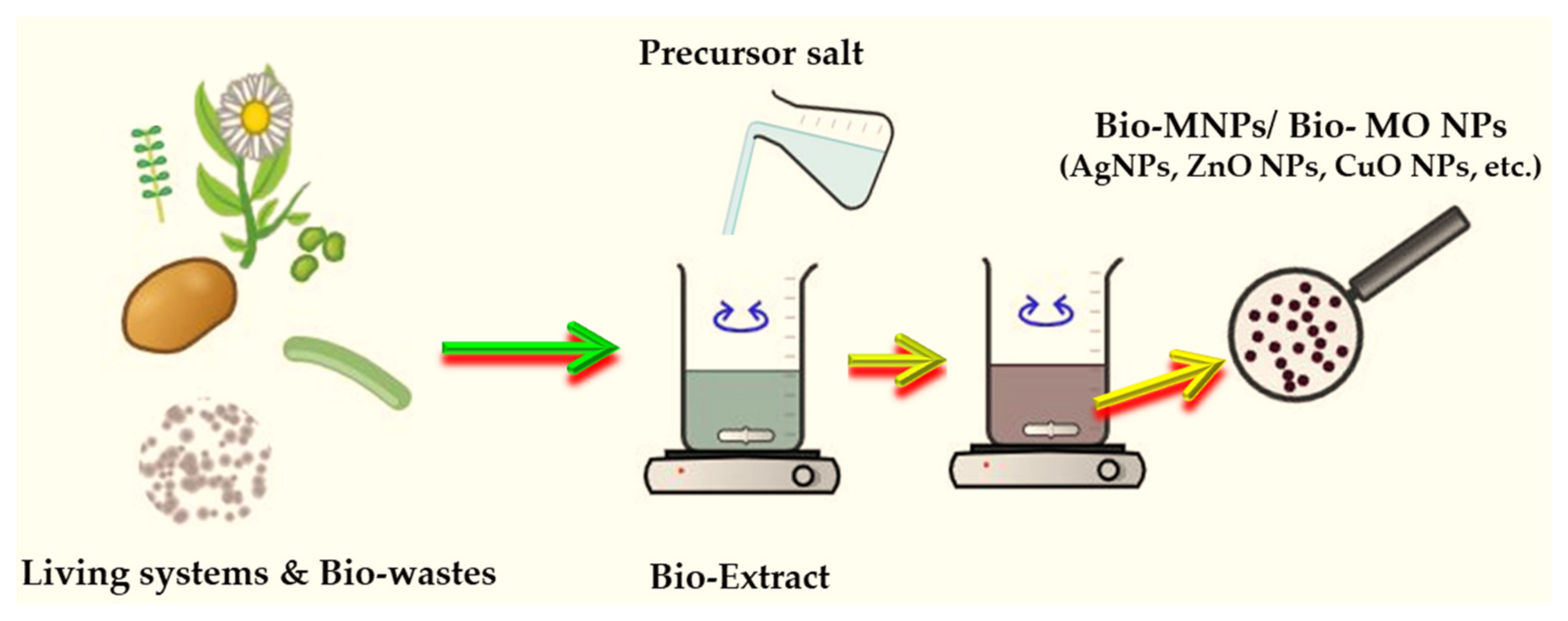 Ijms 25 05842 g003 Ijms 25 05842 g003