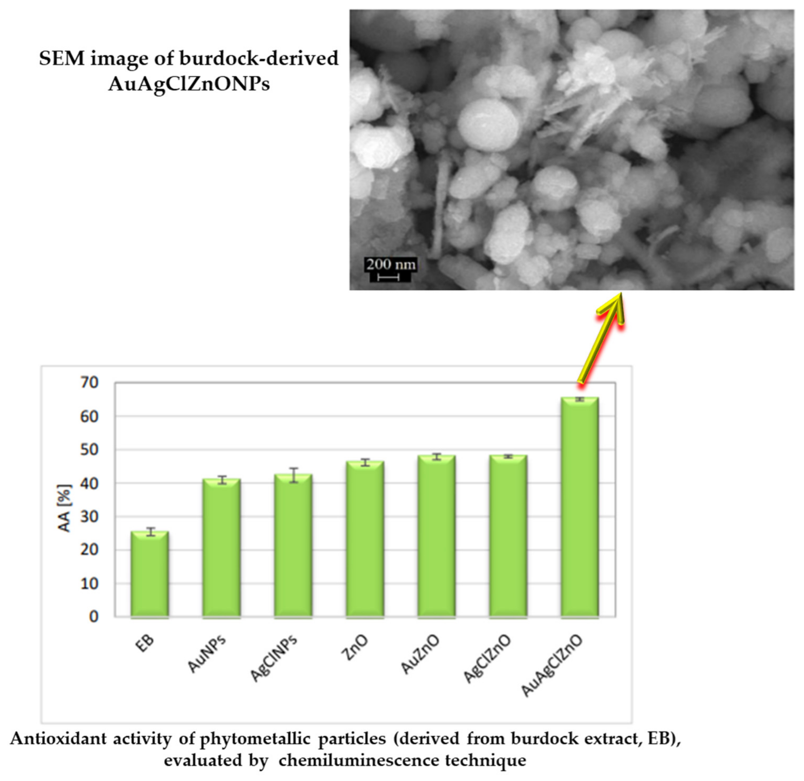 Ijms 25 05842 g004 Ijms 25 05842 g004