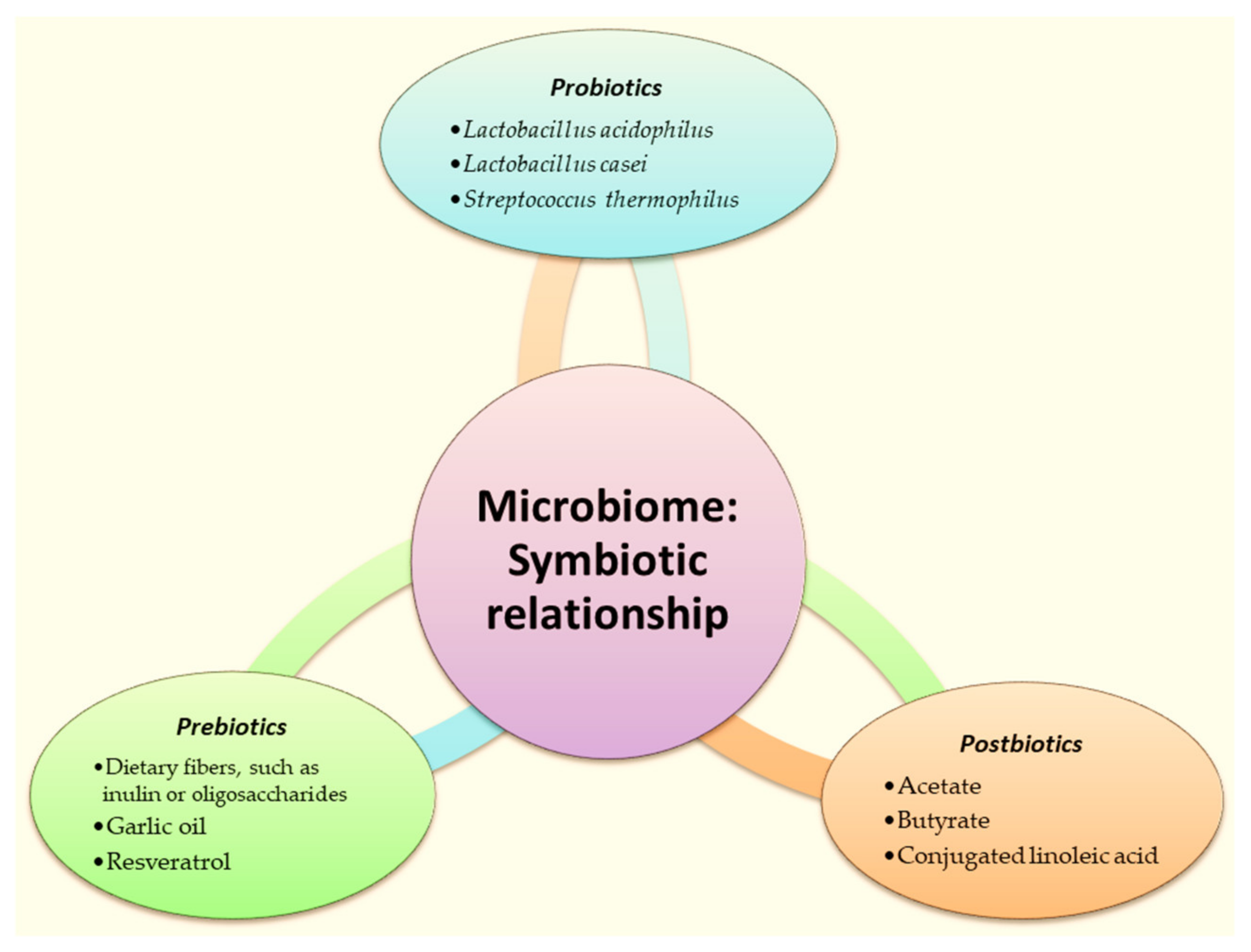 Ijms 25 05842 g006 Ijms 25 05842 g006