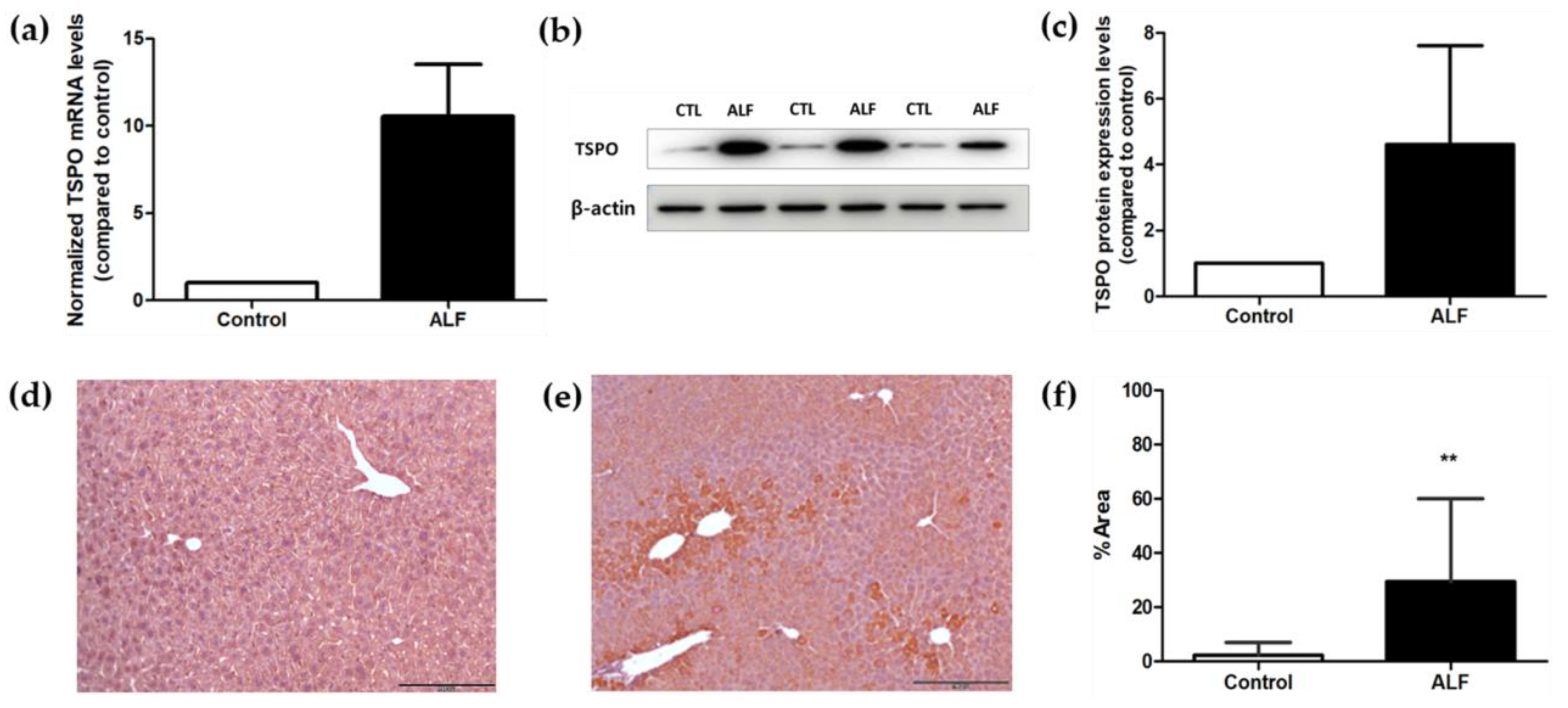 Ijms 25 05942 g006
