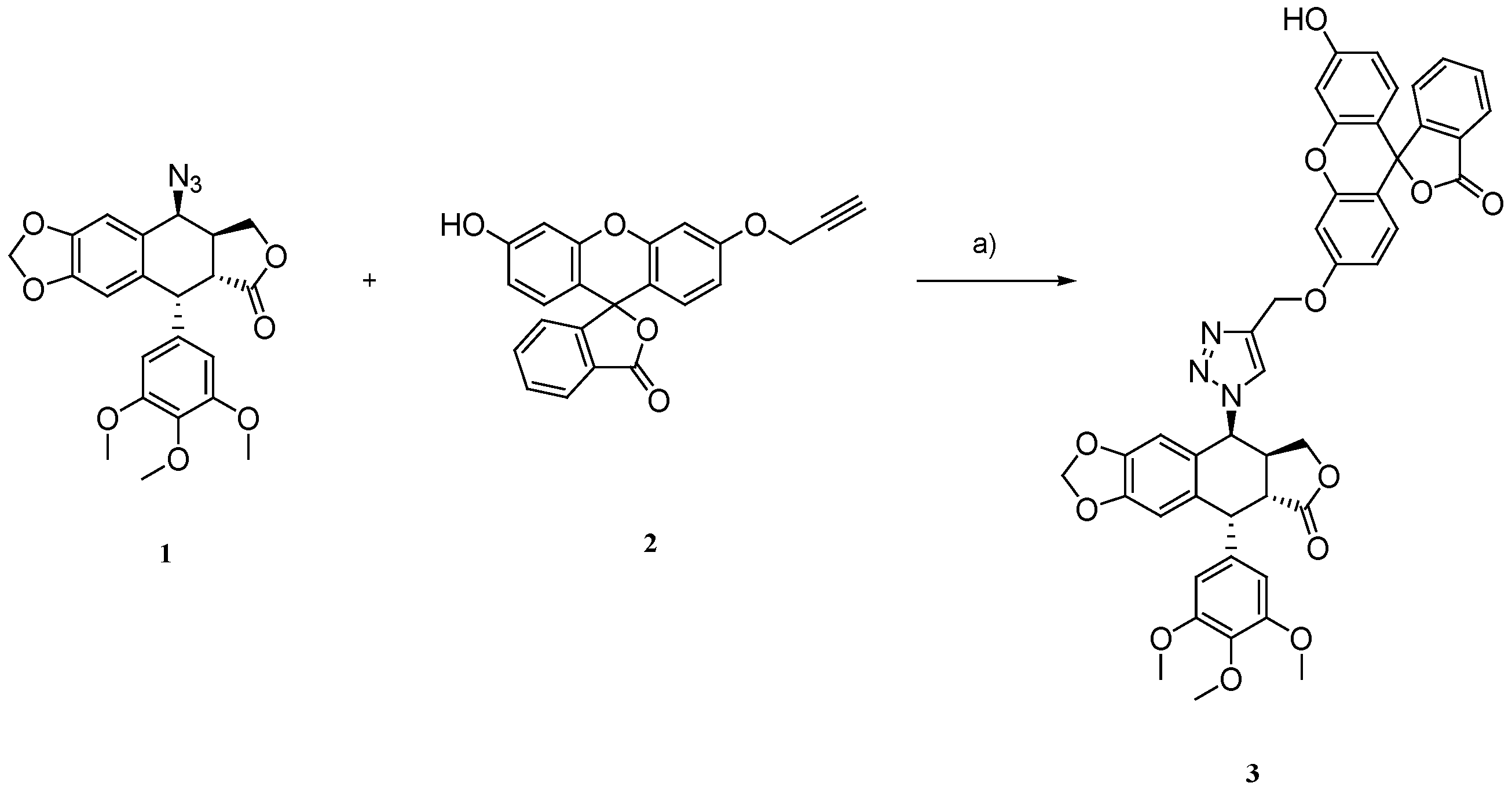 Ijms 25 05948 sch001