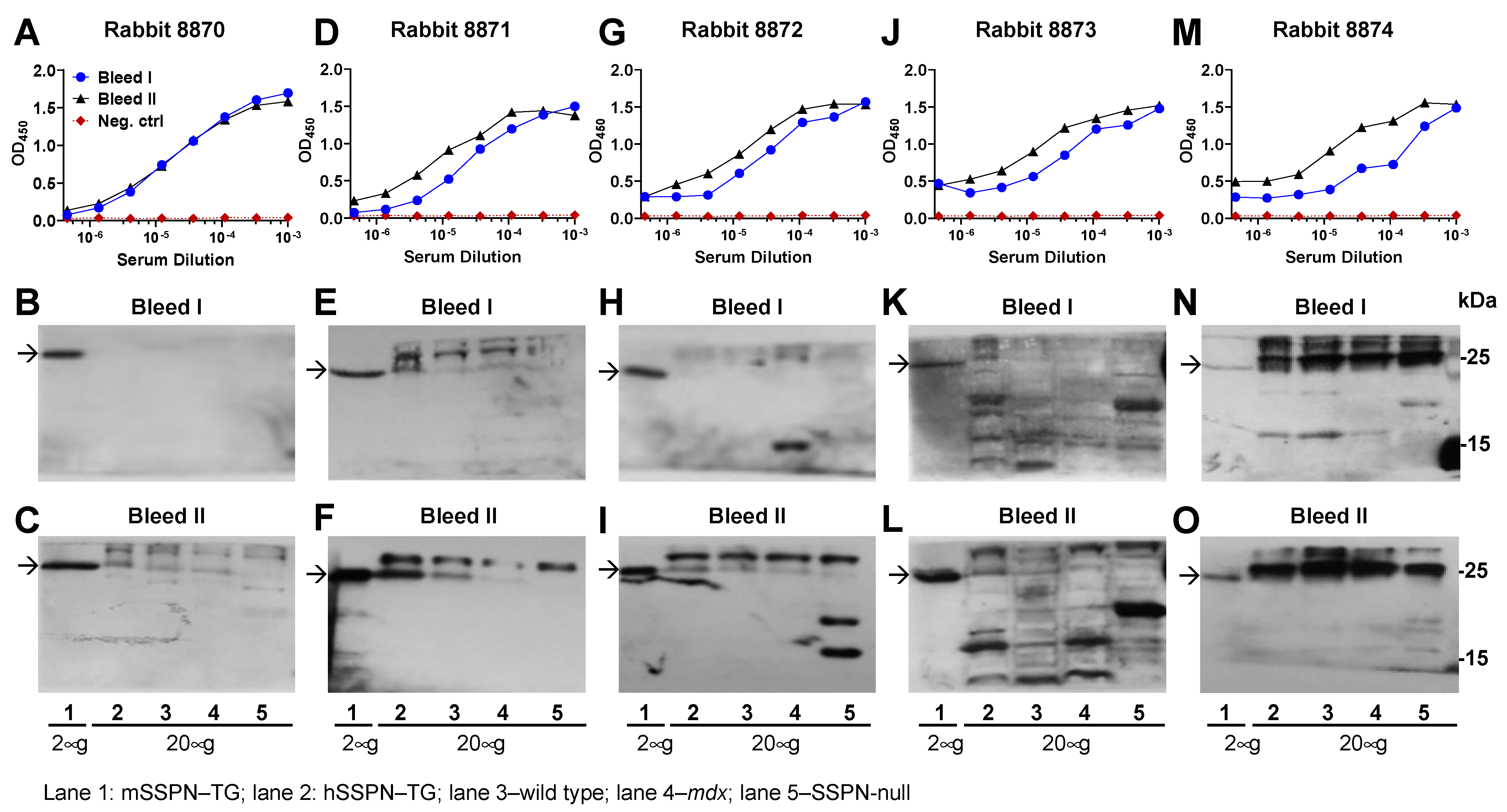 Ijms 25 06121 g002 Ijms 25 06121 g002