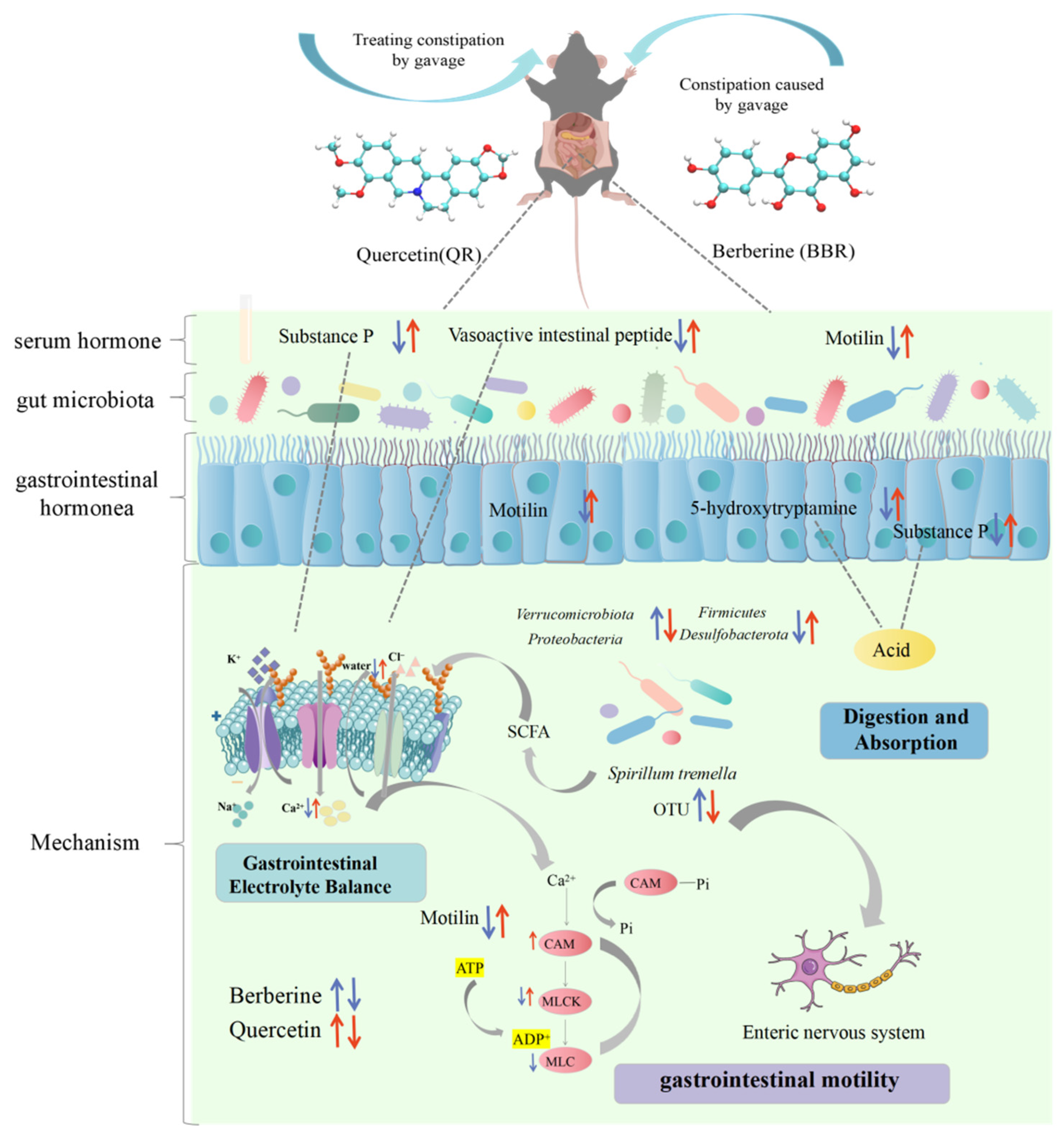 Ijms 25 06228 sch001