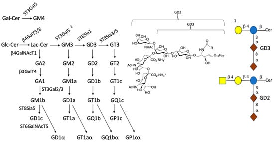 Ijms 25 06312 g002