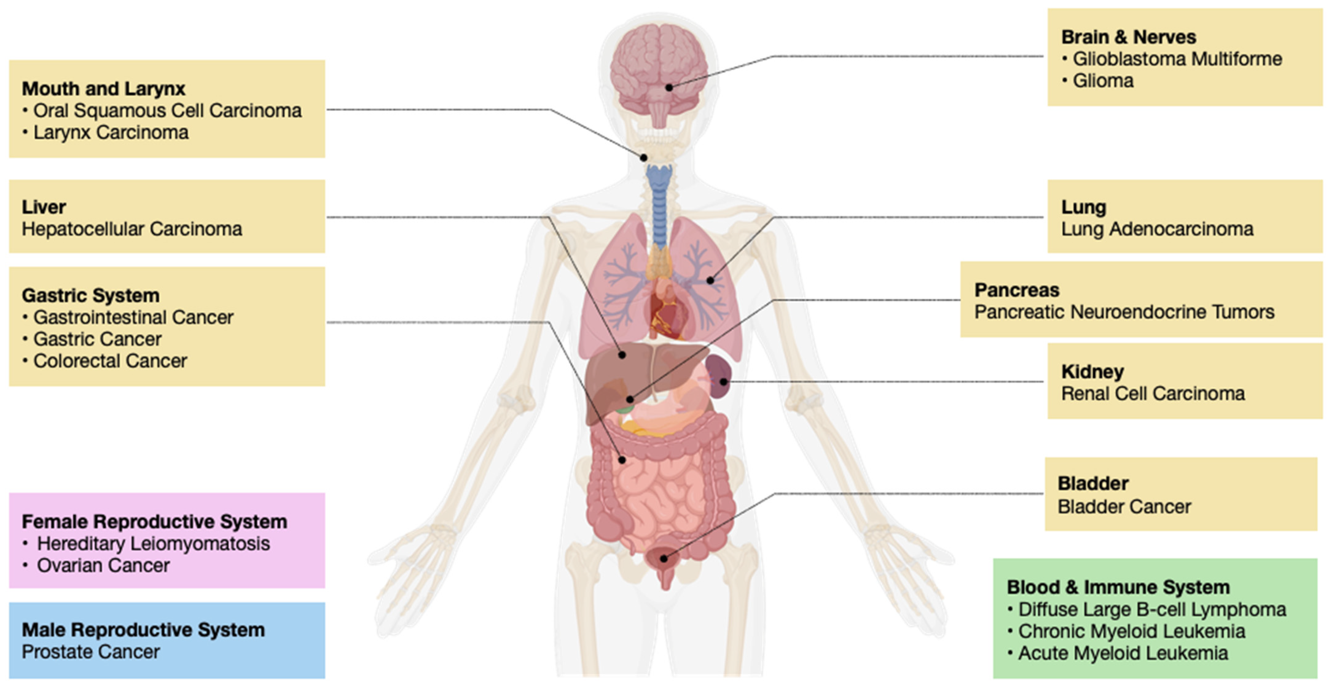 Ijms 25 06403 g001 Ijms 25 06403 g001