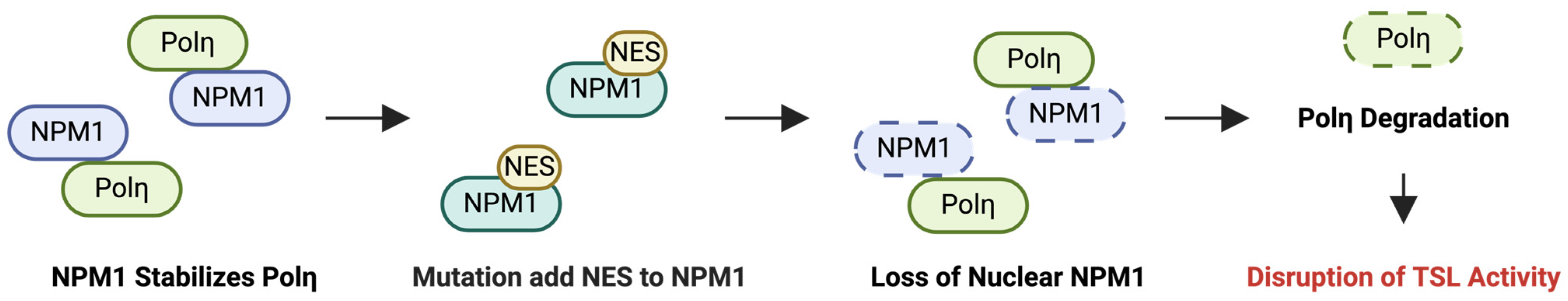 Ijms 25 06403 g005 Ijms 25 06403 g005