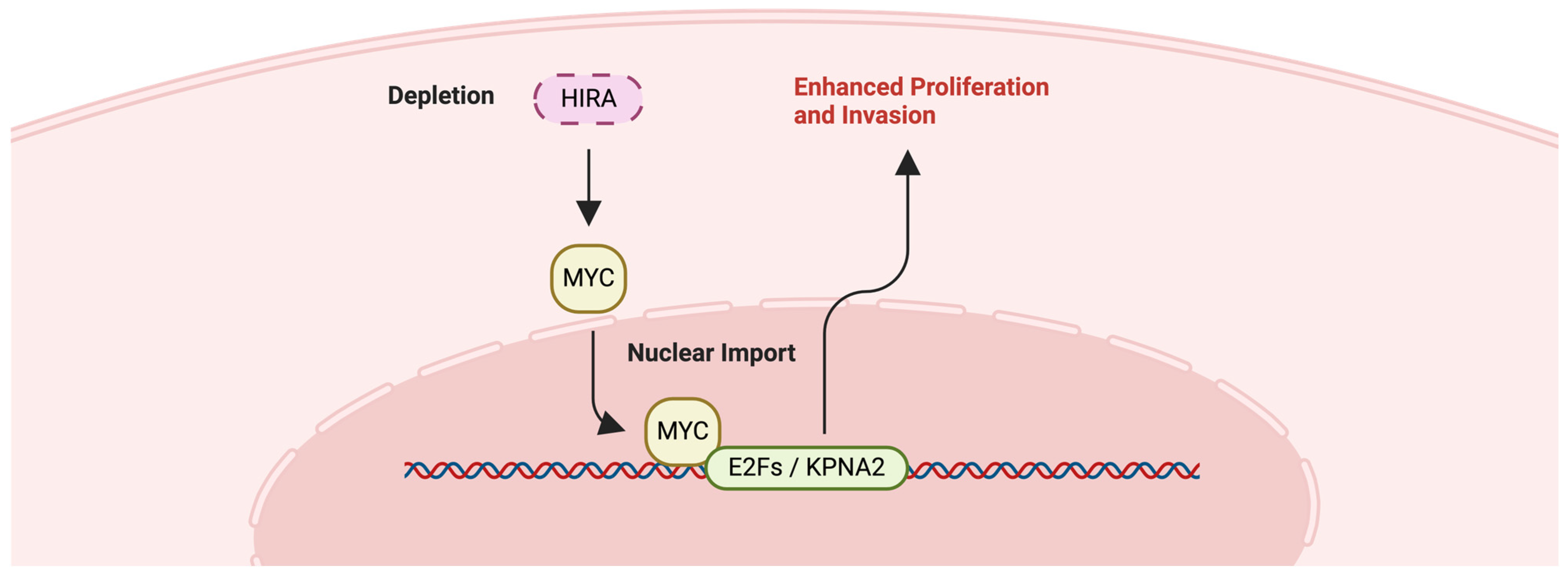 Ijms 25 06403 g007 Ijms 25 06403 g007
