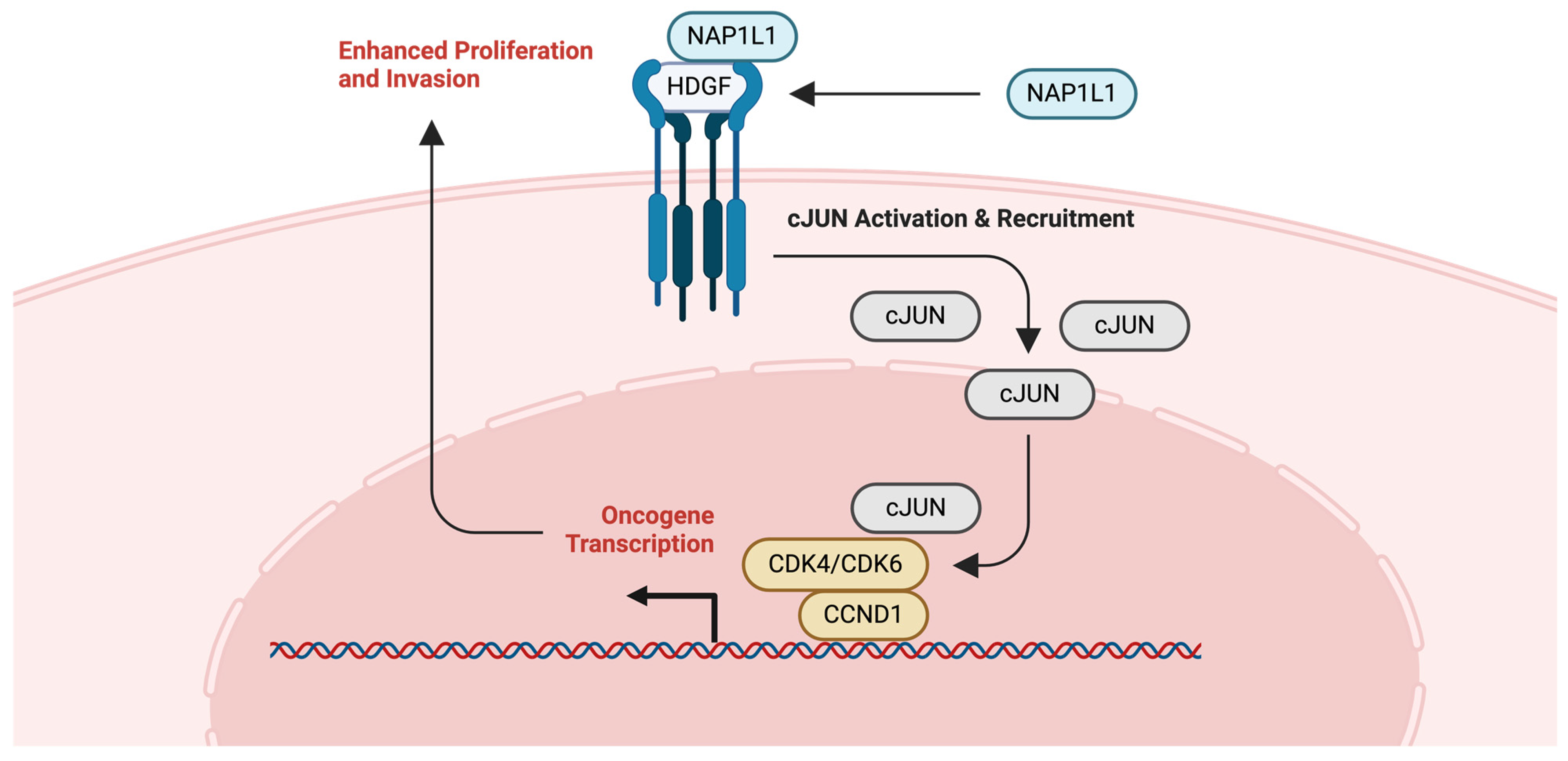 Ijms 25 06403 g008 Ijms 25 06403 g008