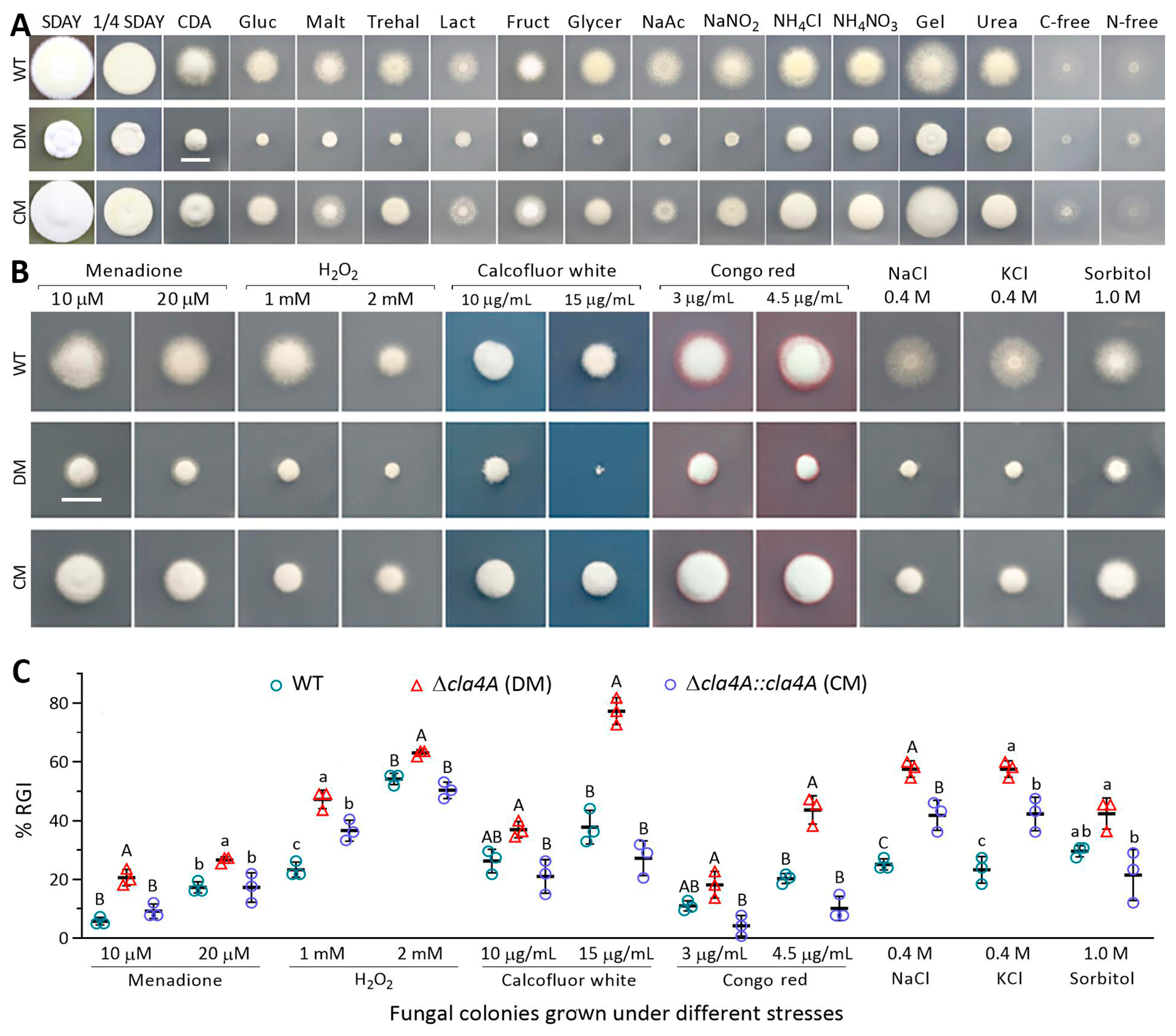 Ijms 25 06410 g002 Ijms 25 06410 g002
