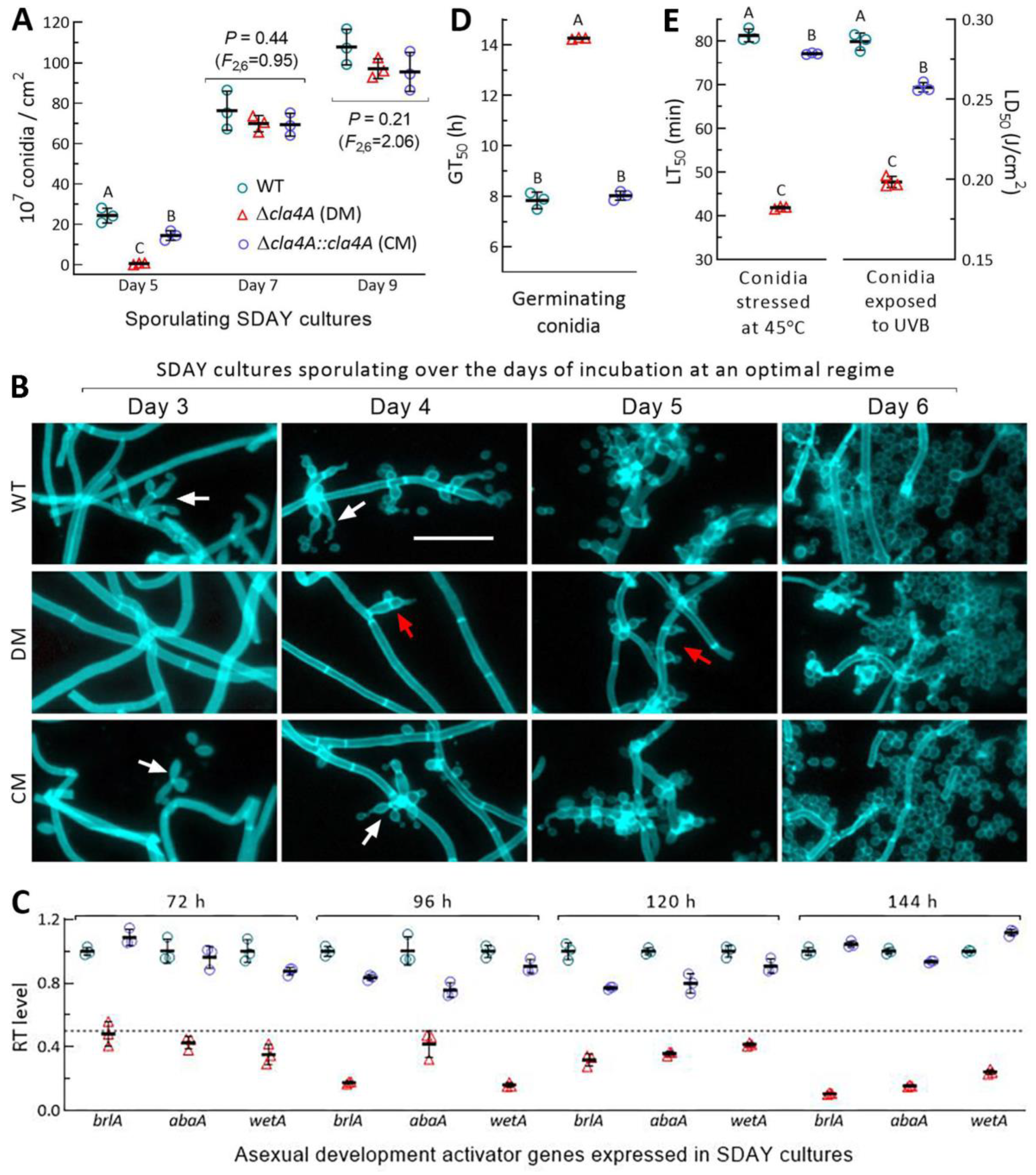 Ijms 25 06410 g003 Ijms 25 06410 g003