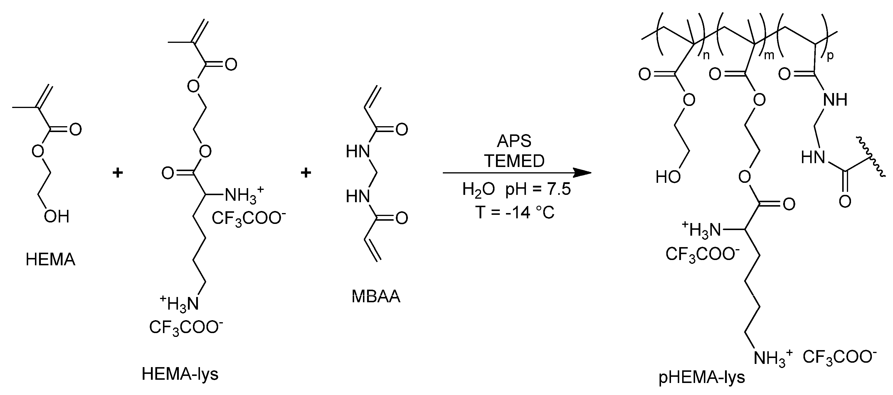 Ijms 25 06503 sch002