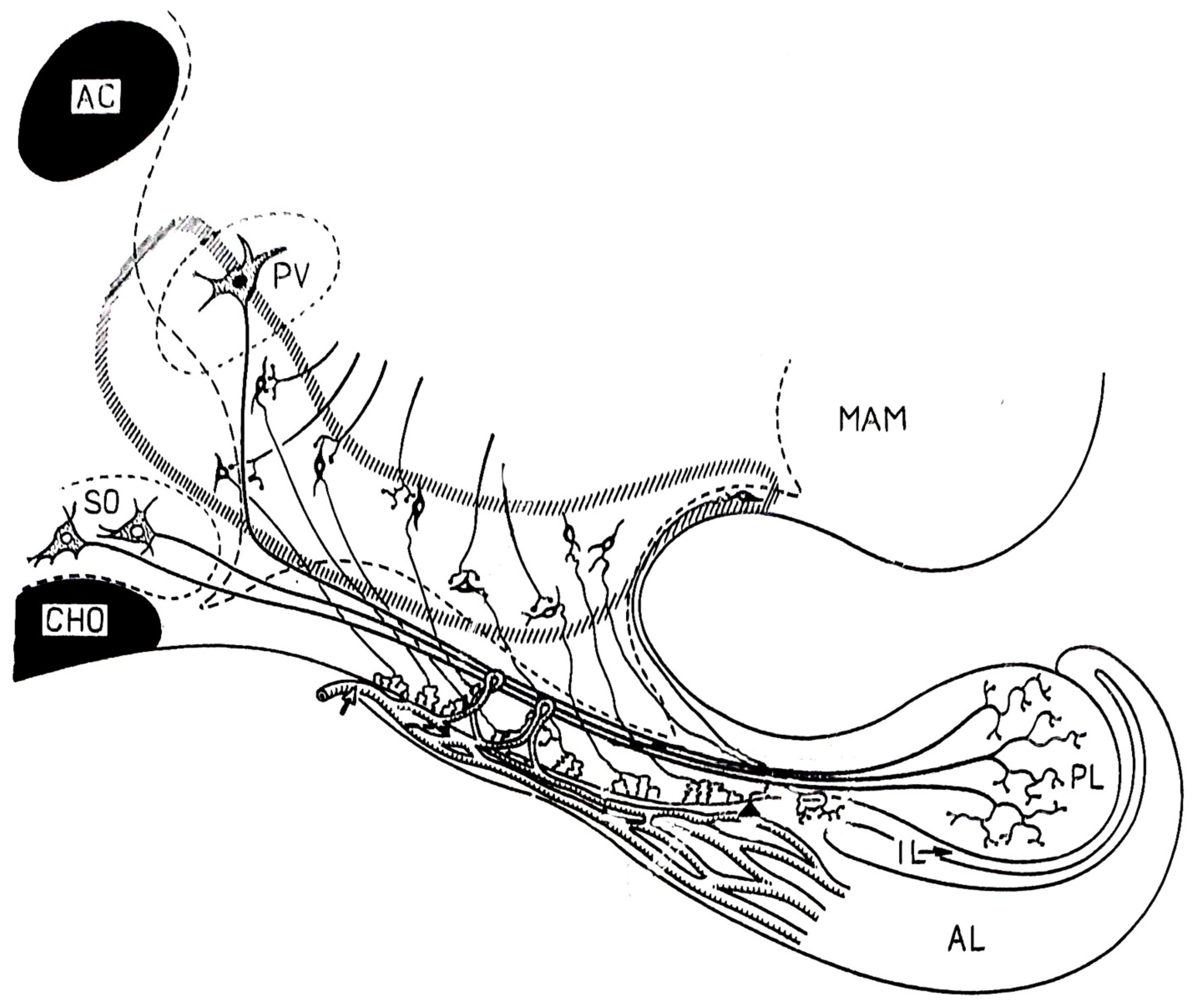 Ijms 25 06531 g004 Ijms 25 06531 g004