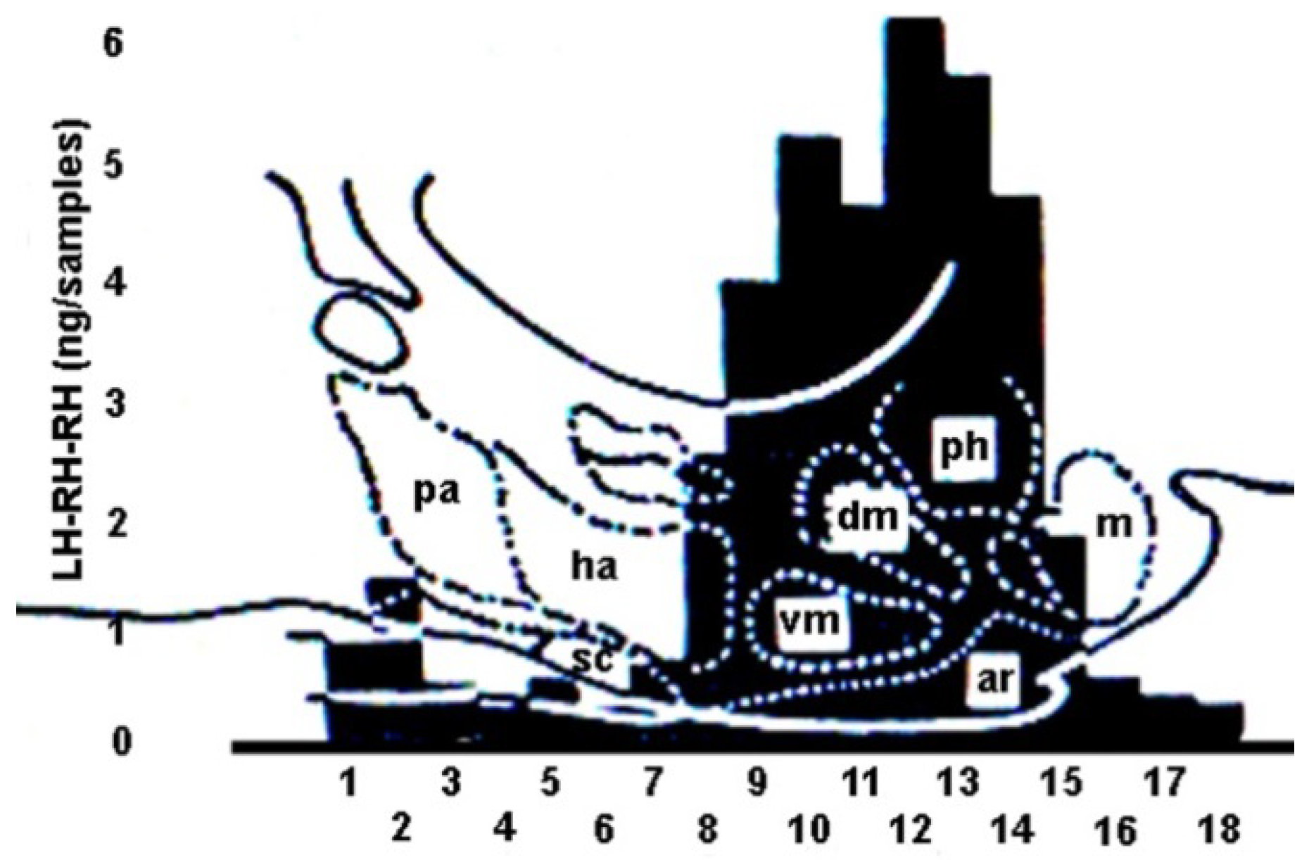 Ijms 25 06531 g010 Ijms 25 06531 g010